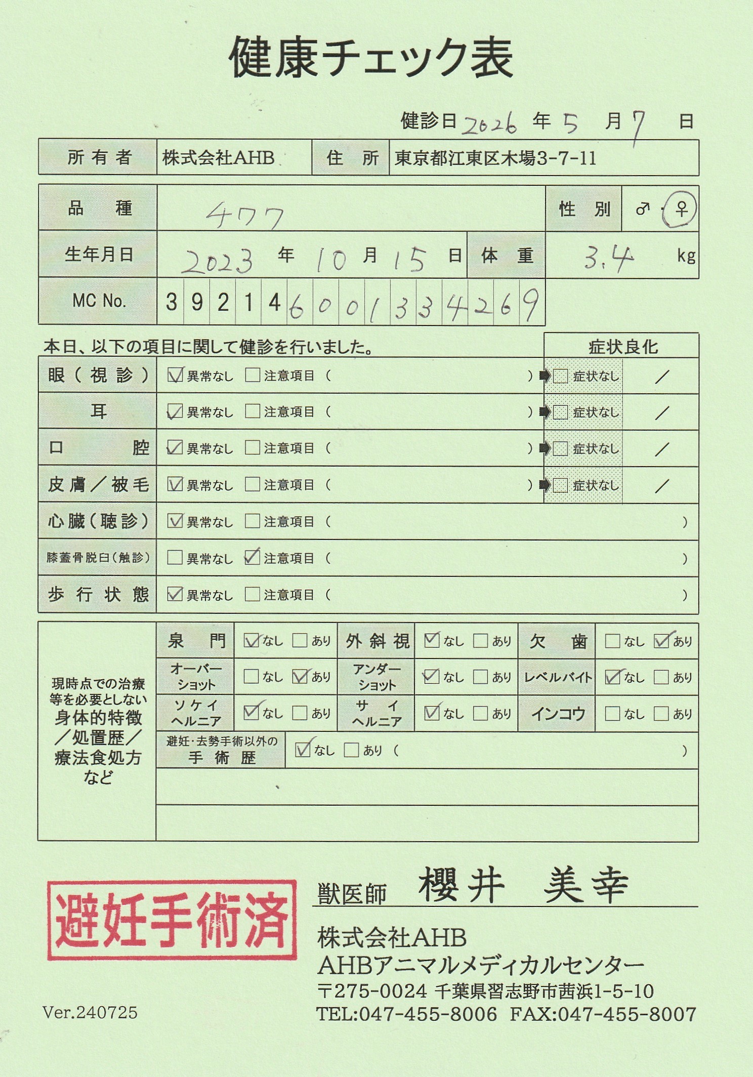 チワワ