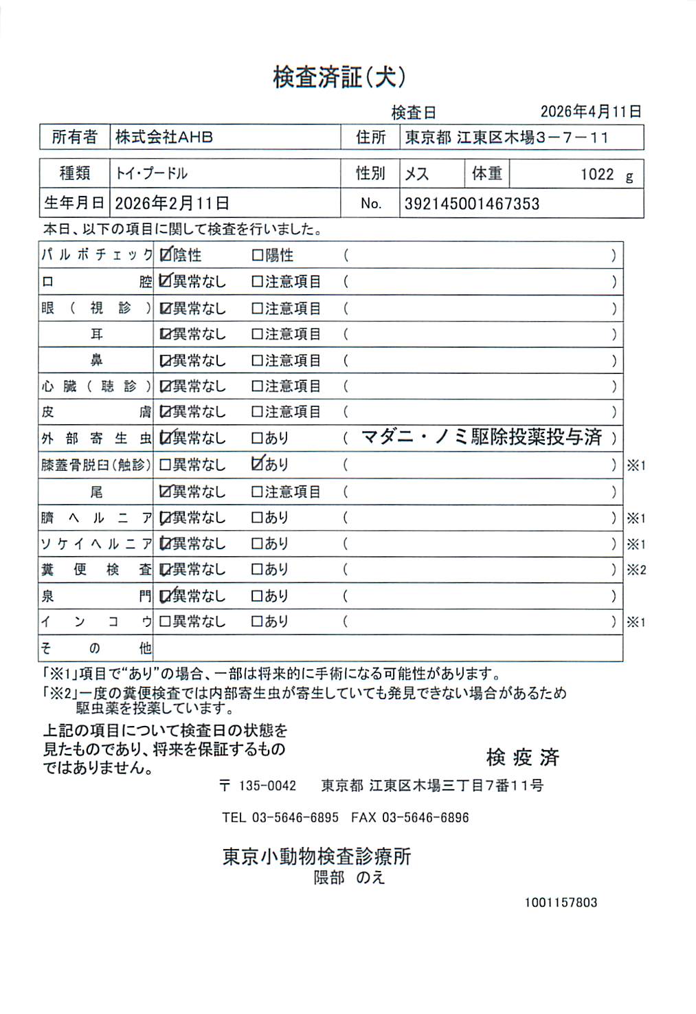 トイ・プードル