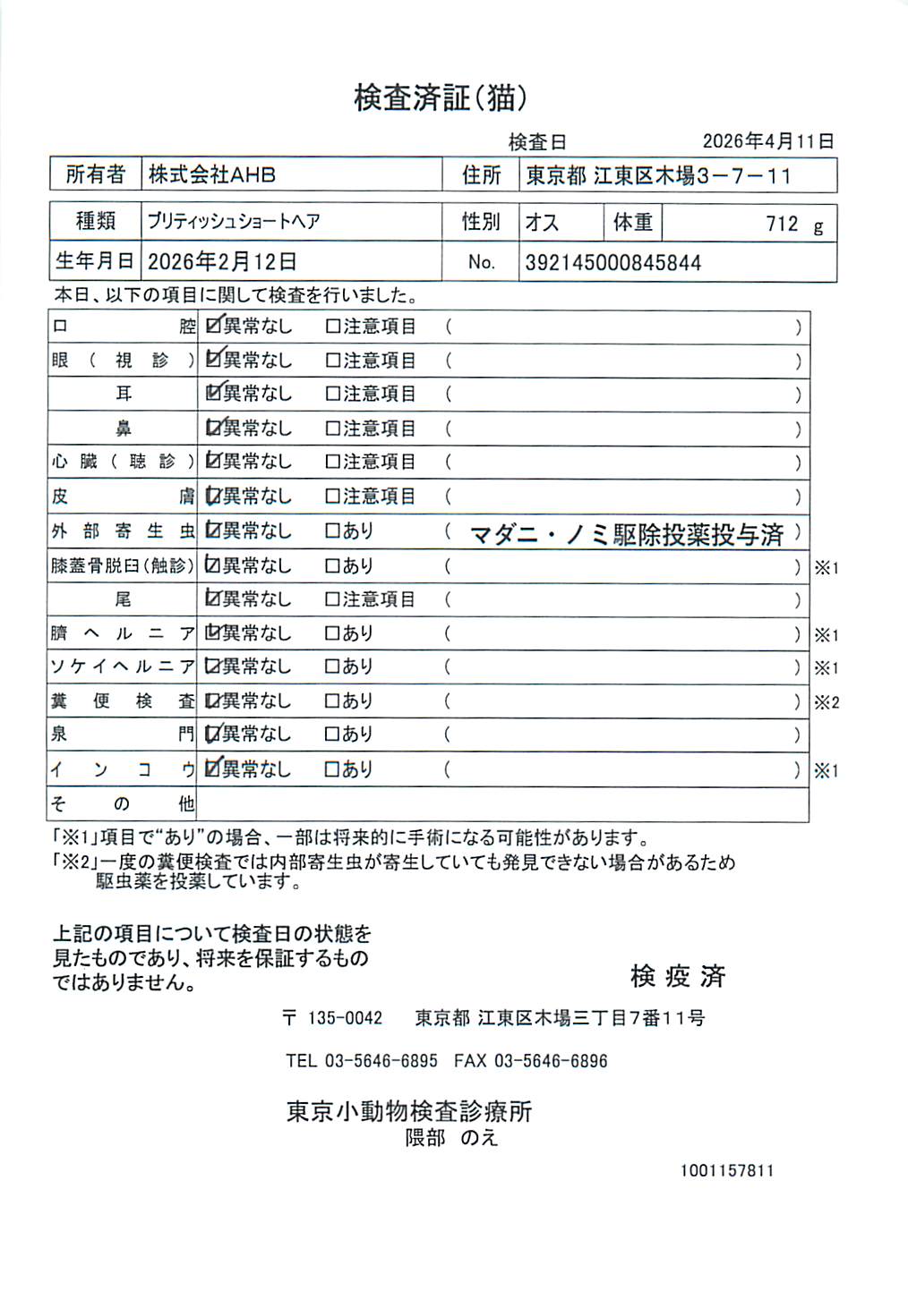 ブリティッシュショートヘア