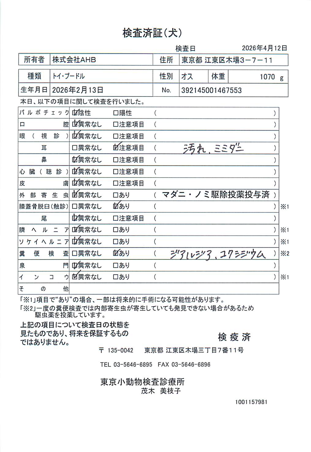 トイ・プードル
