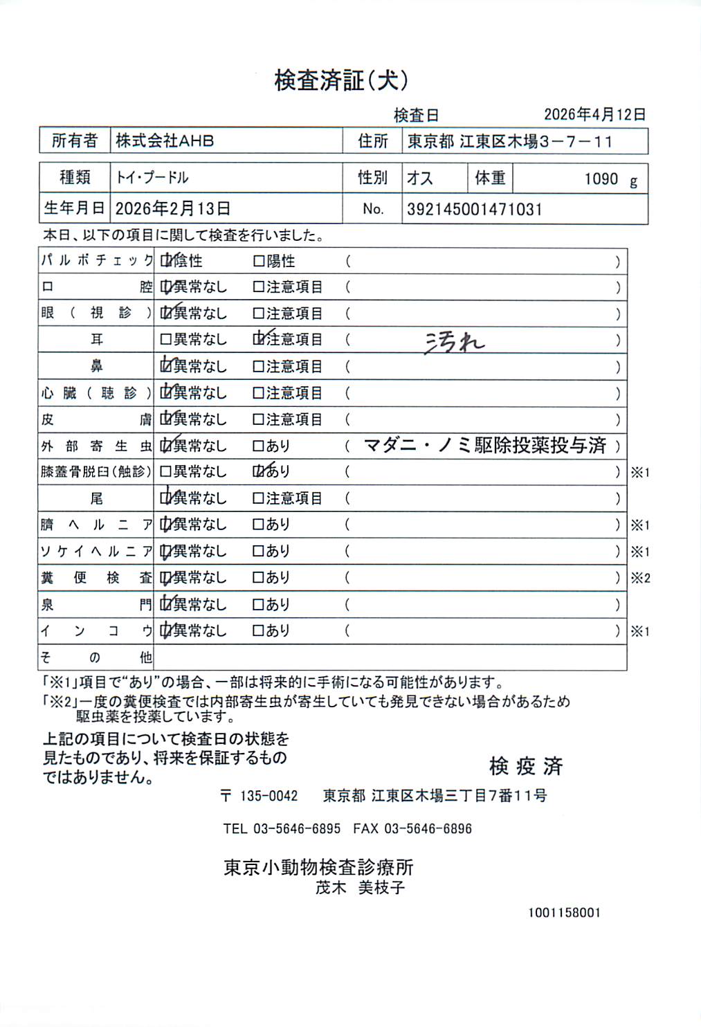 トイ・プードル