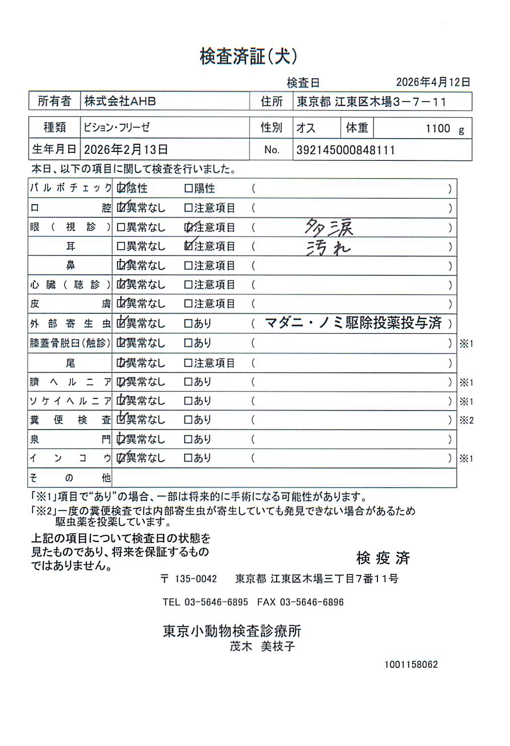 ビション・フリーゼ