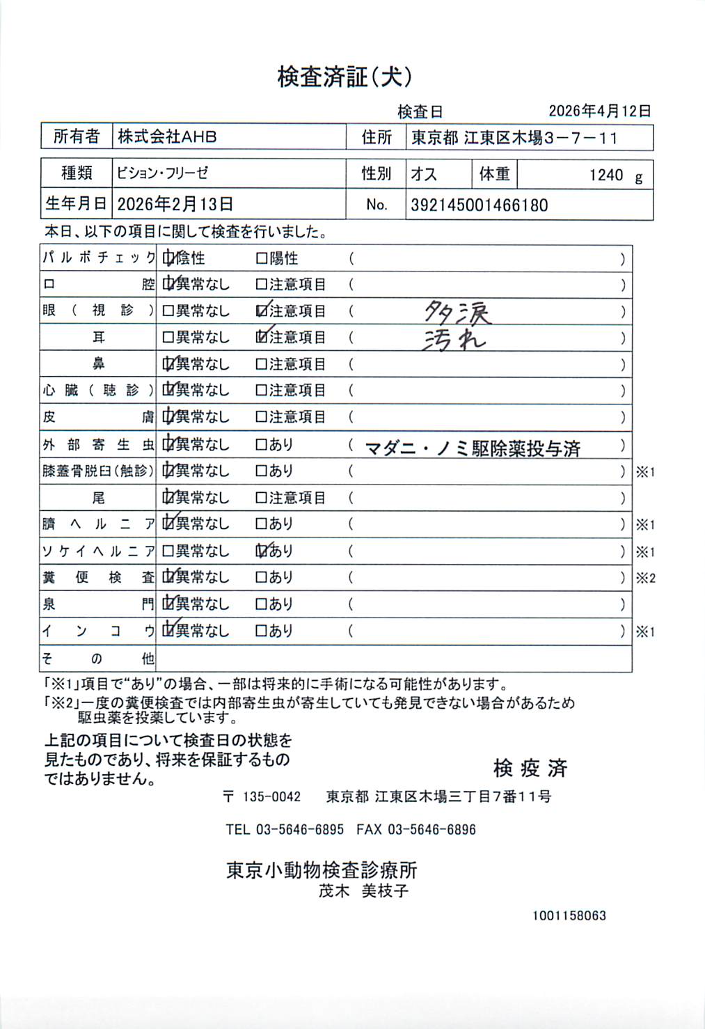 ビション・フリーゼ