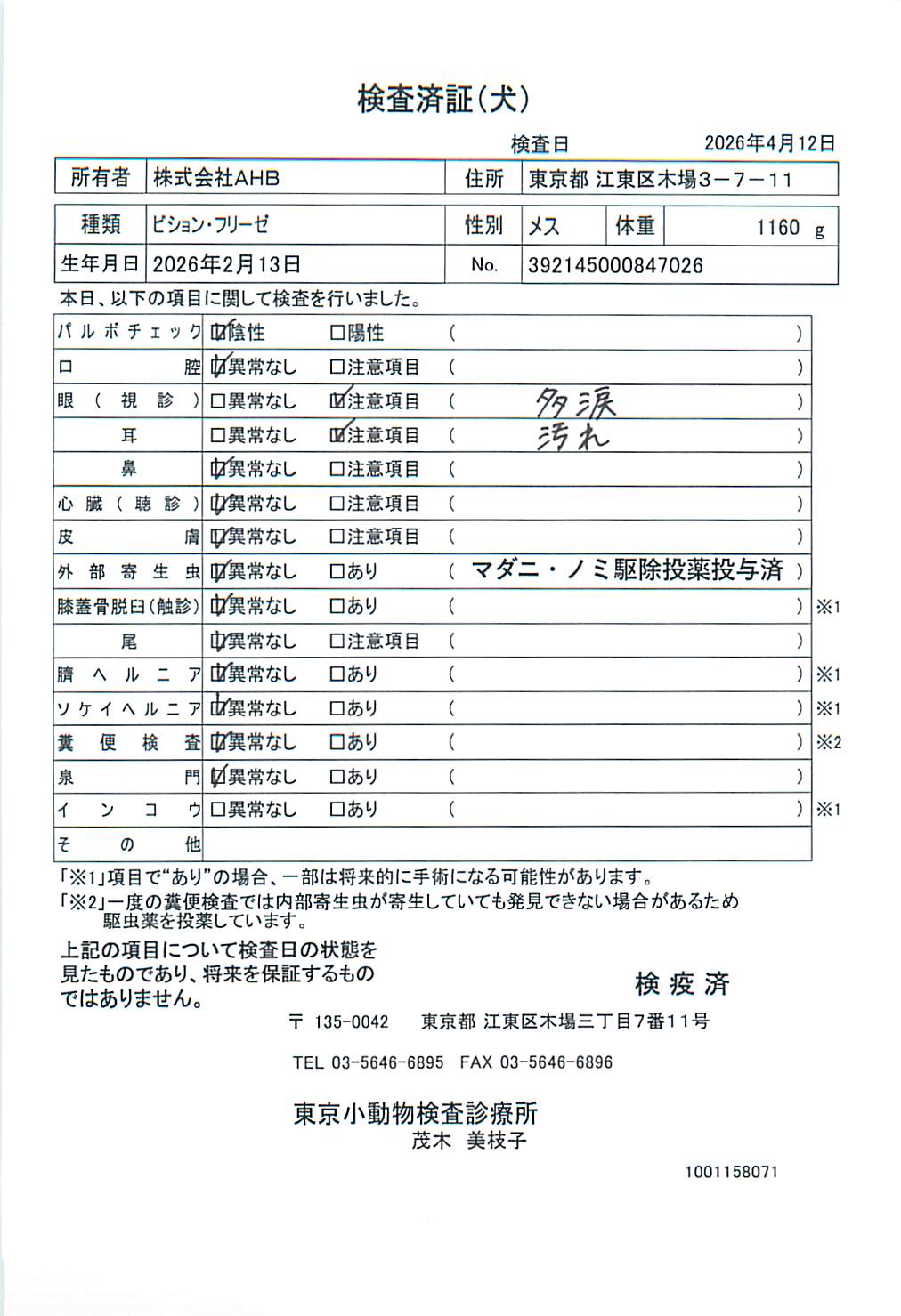 ビション・フリーゼ