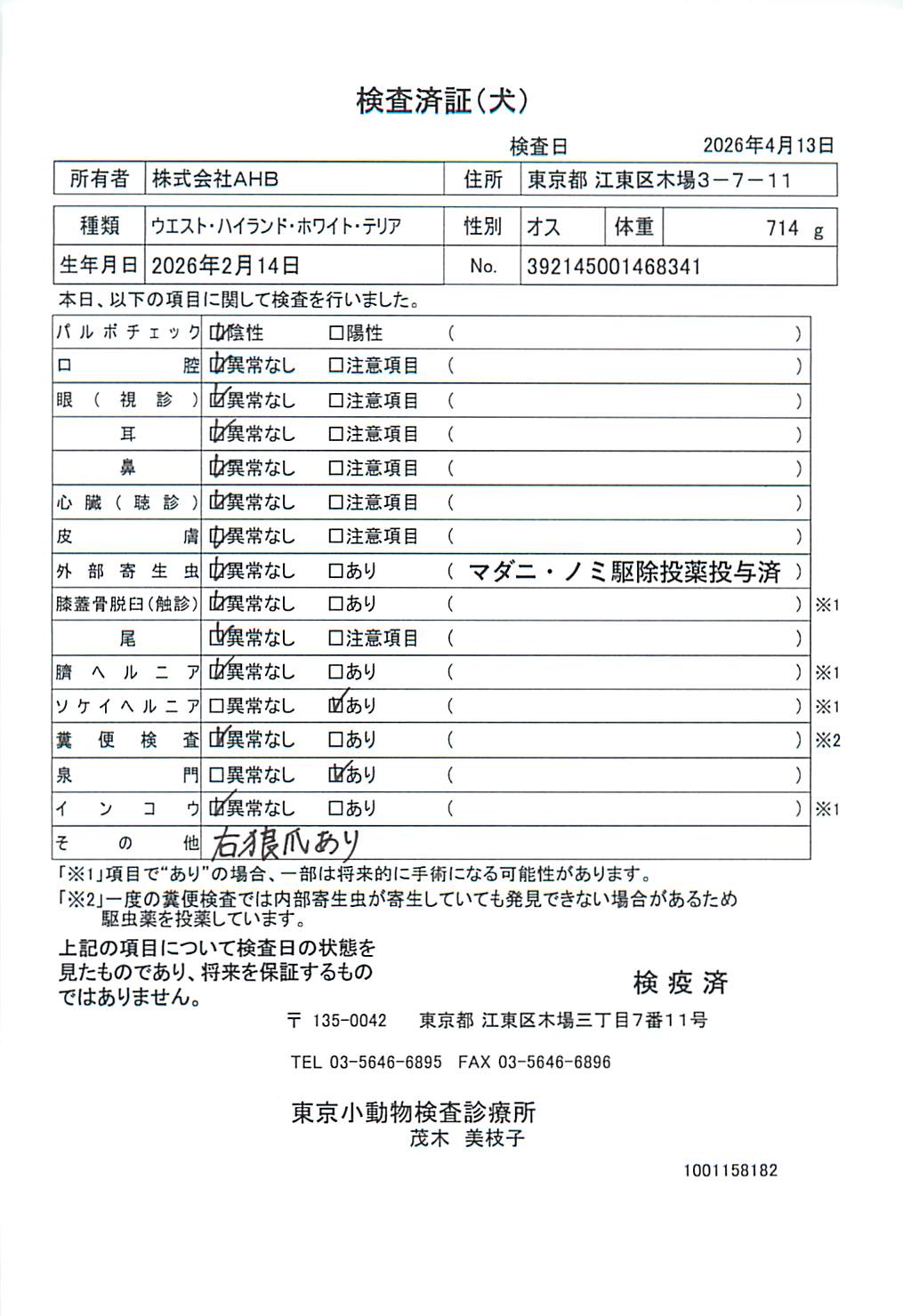 ウエスト・ハイランド・ホワイト・テリア