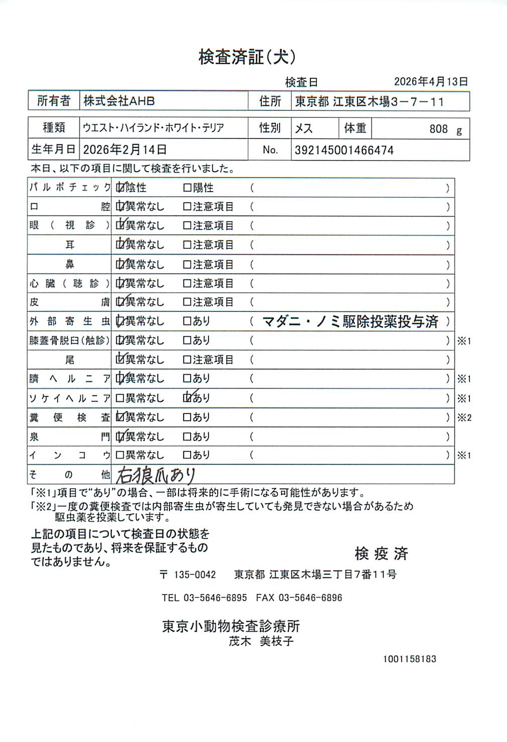 ウエスト・ハイランド・ホワイト・テリア