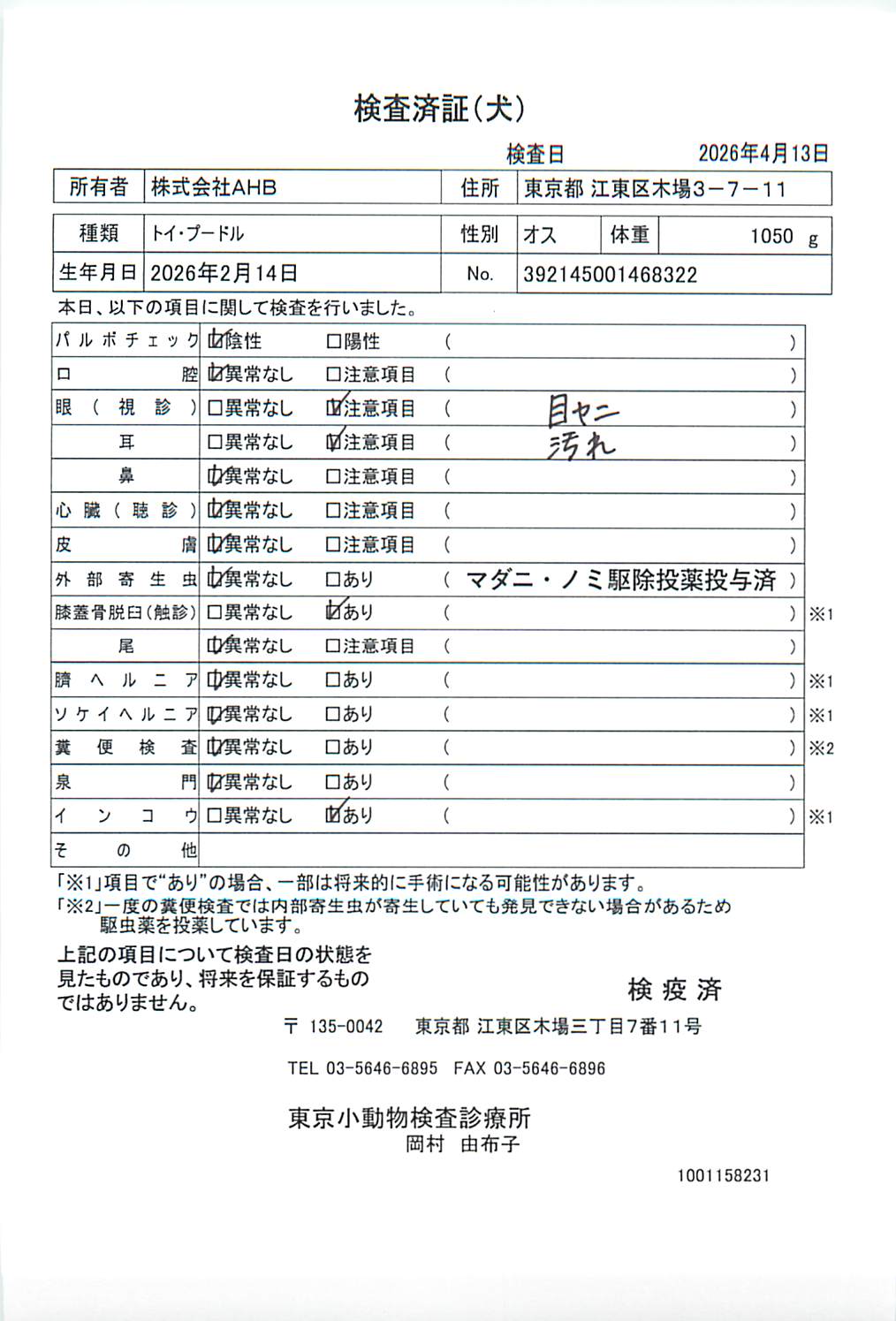 トイ・プードル