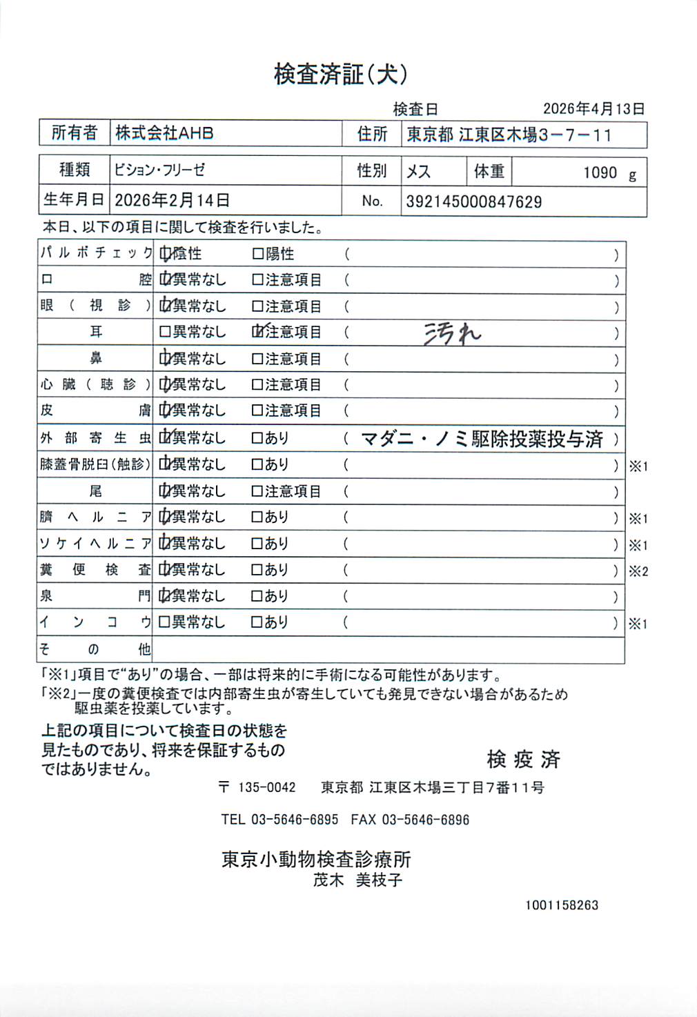 ビション・フリーゼ