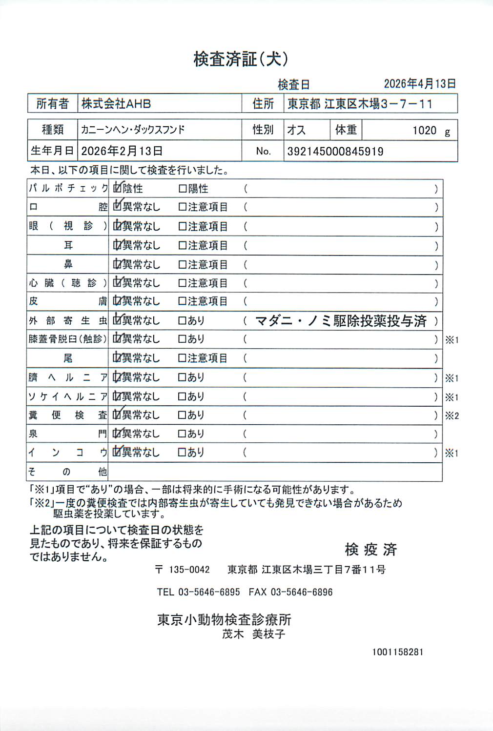 カニーンヘン・ダックスフンド