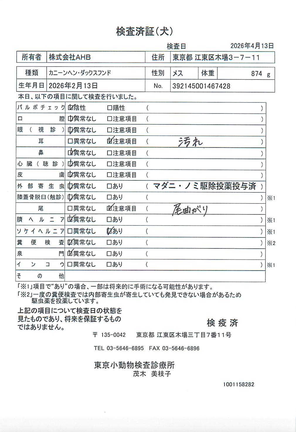 カニーンヘン・ダックスフンド