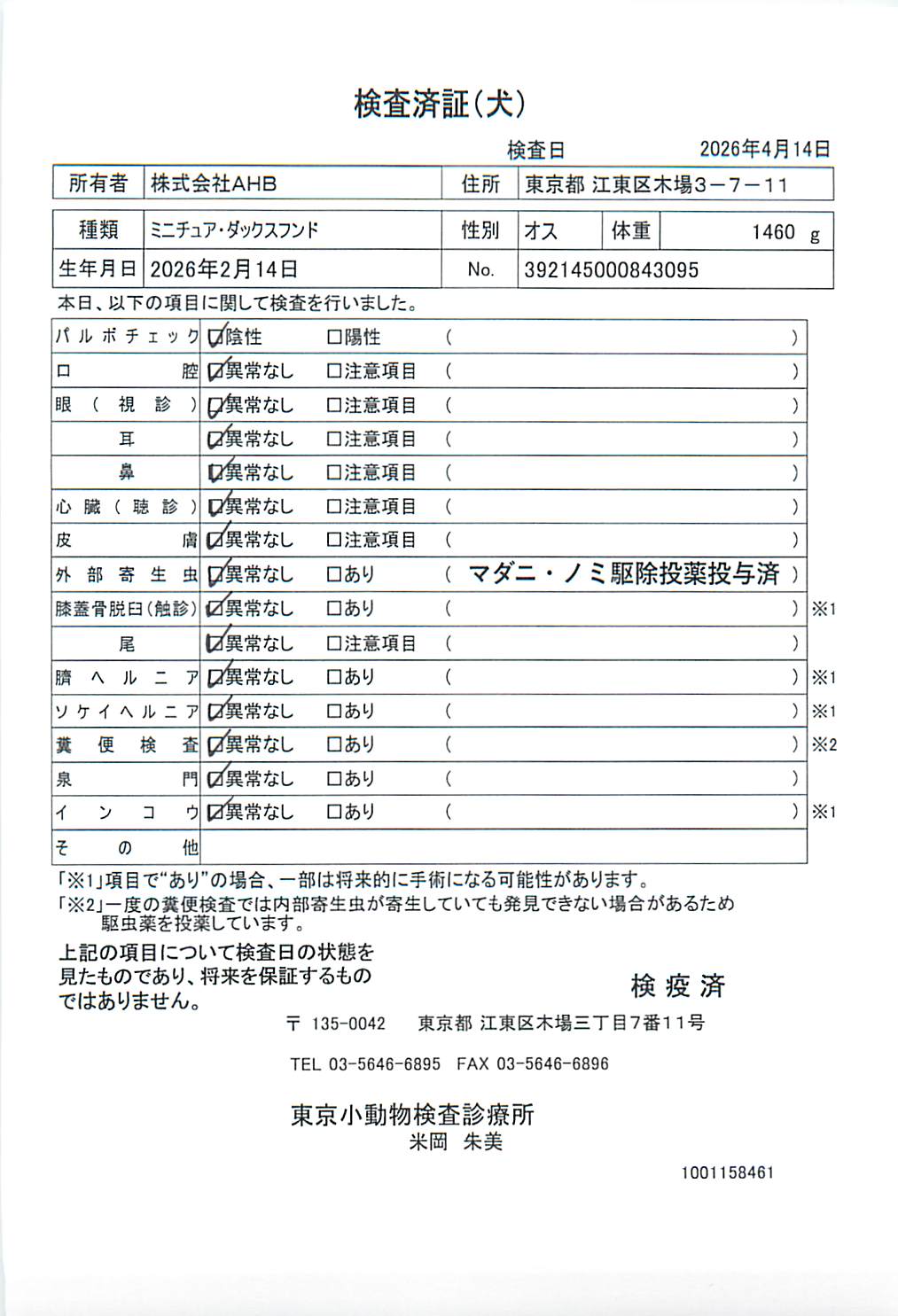 ミニチュア・ダックスフンド