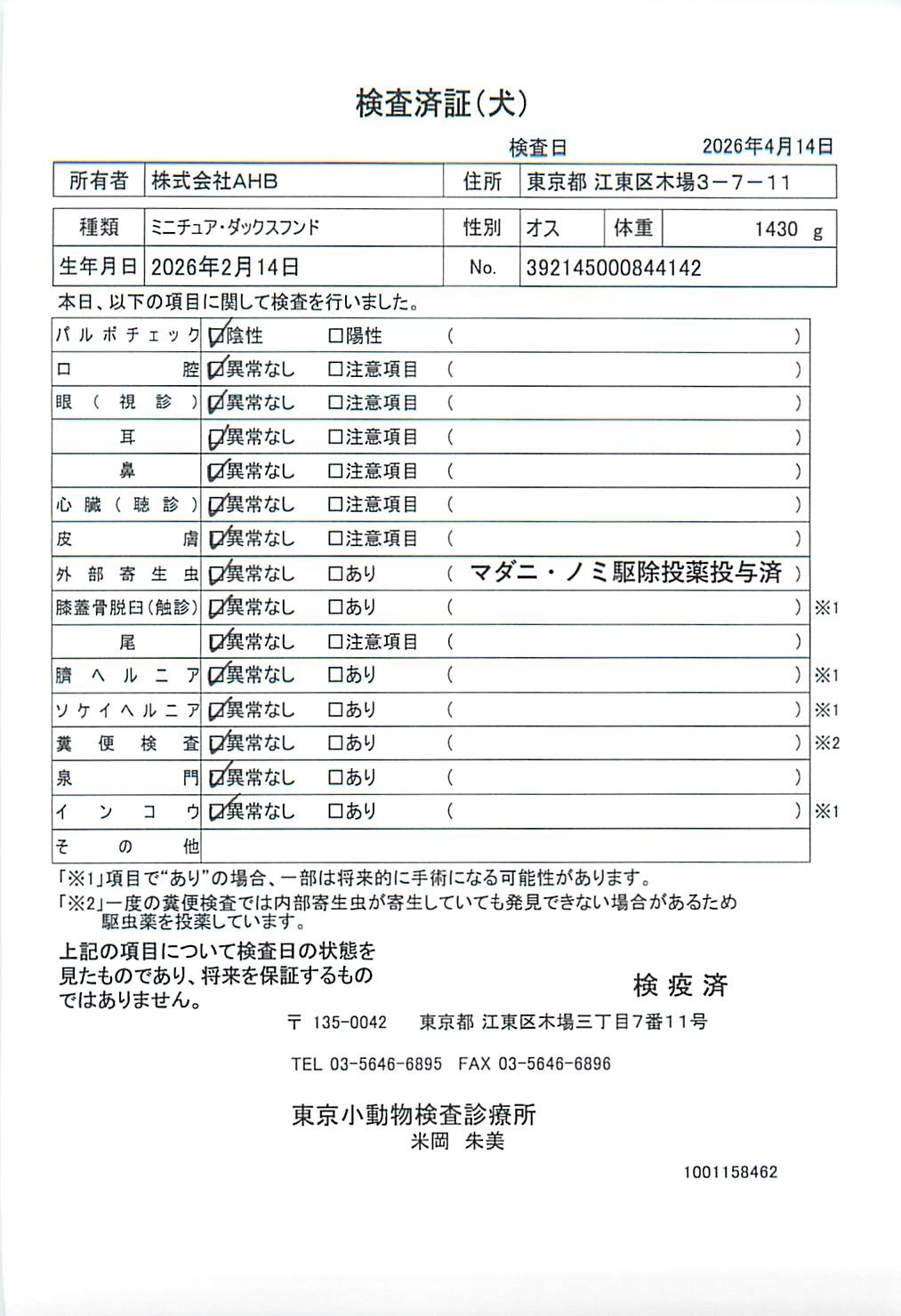 ミニチュア・ダックスフンド