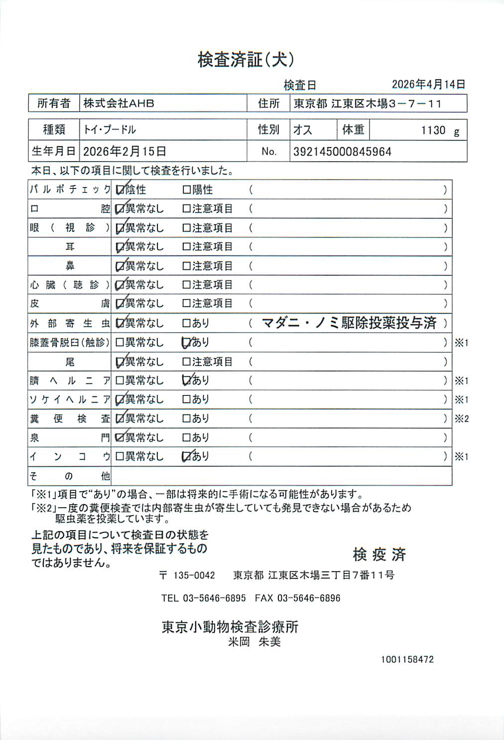 トイ・プードル