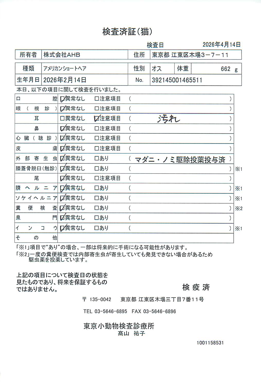 アメリカンショートヘア