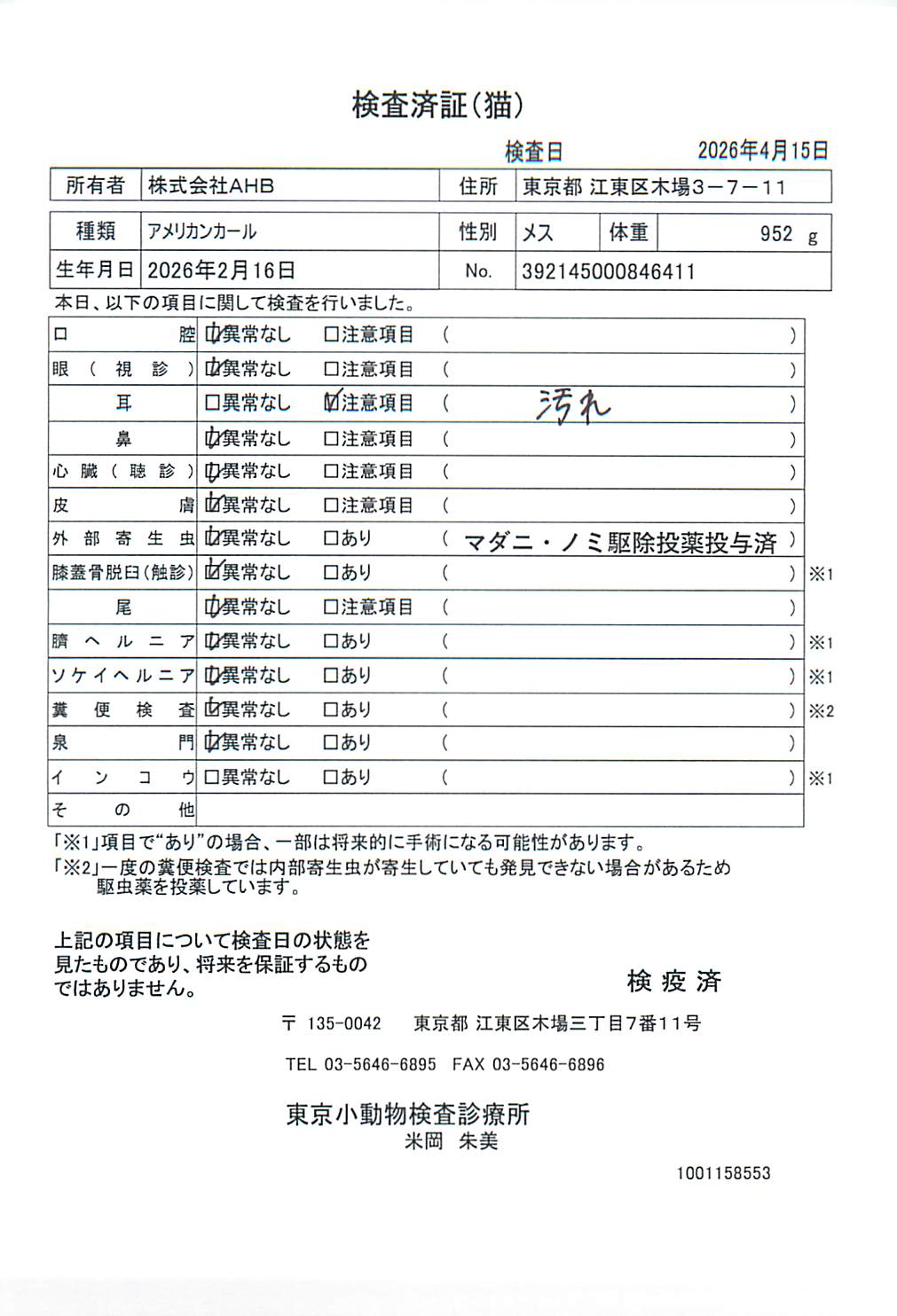アメリカンカール