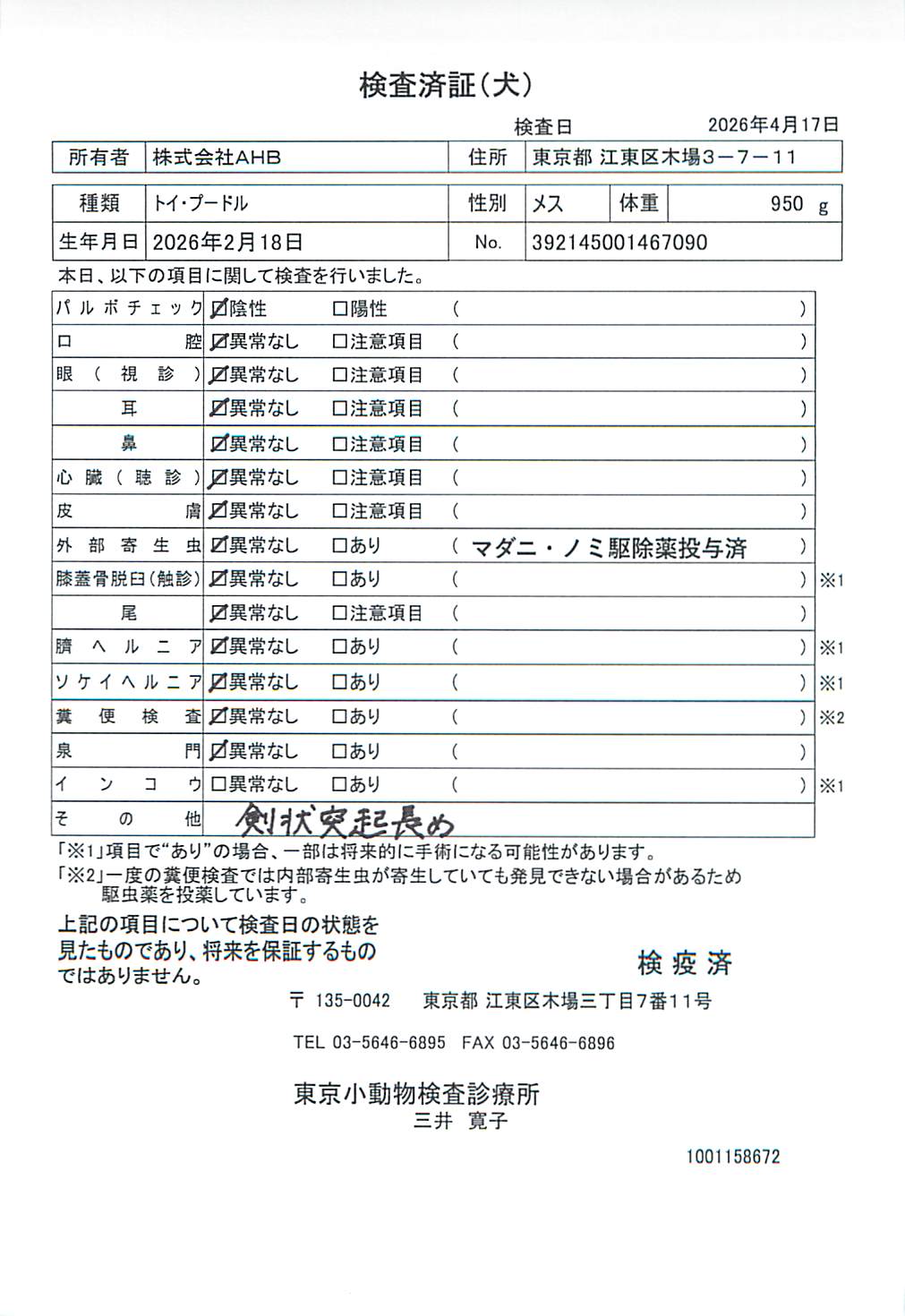 トイ・プードル