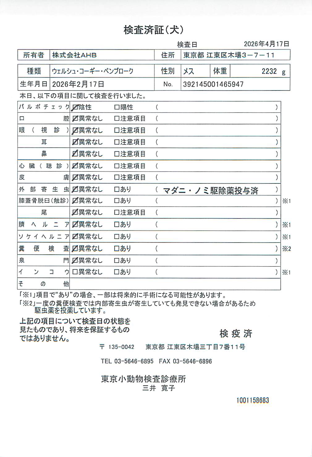 ウェルシュ・コーギー・ペンブローク