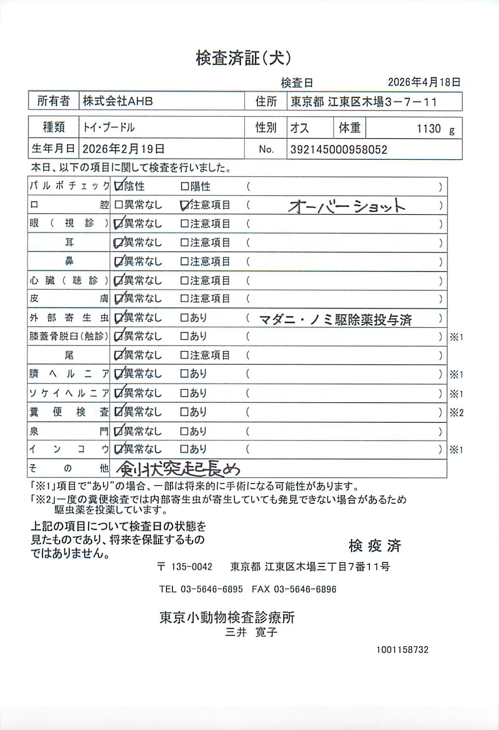 トイ・プードル