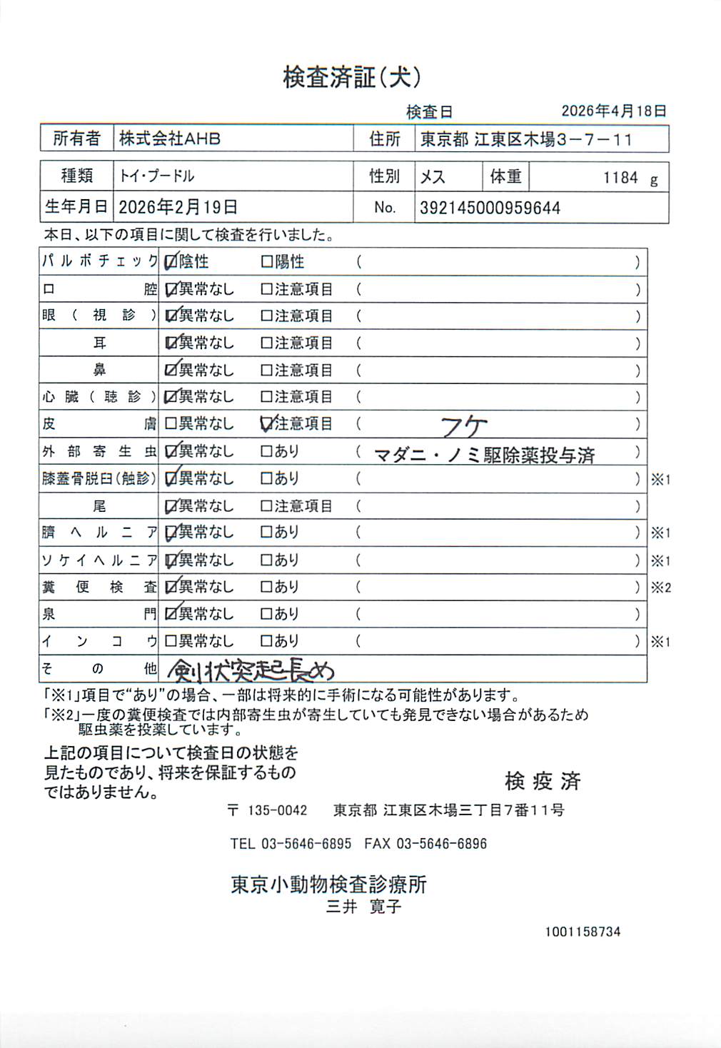 トイ・プードル