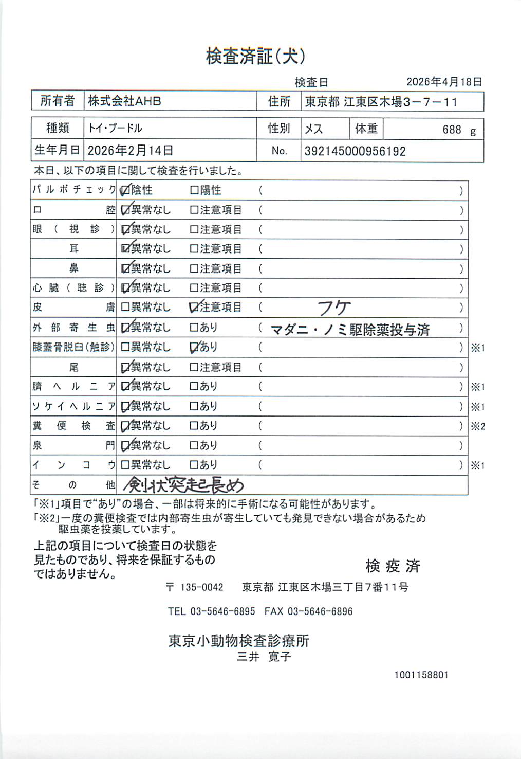 トイ・プードル