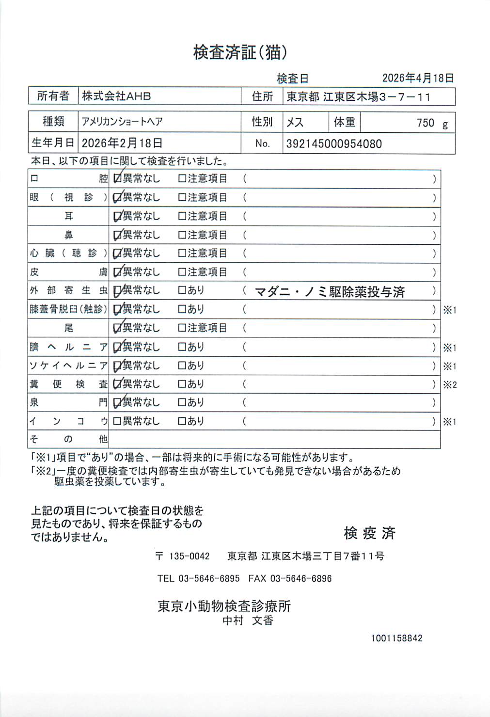アメリカンショートヘア
