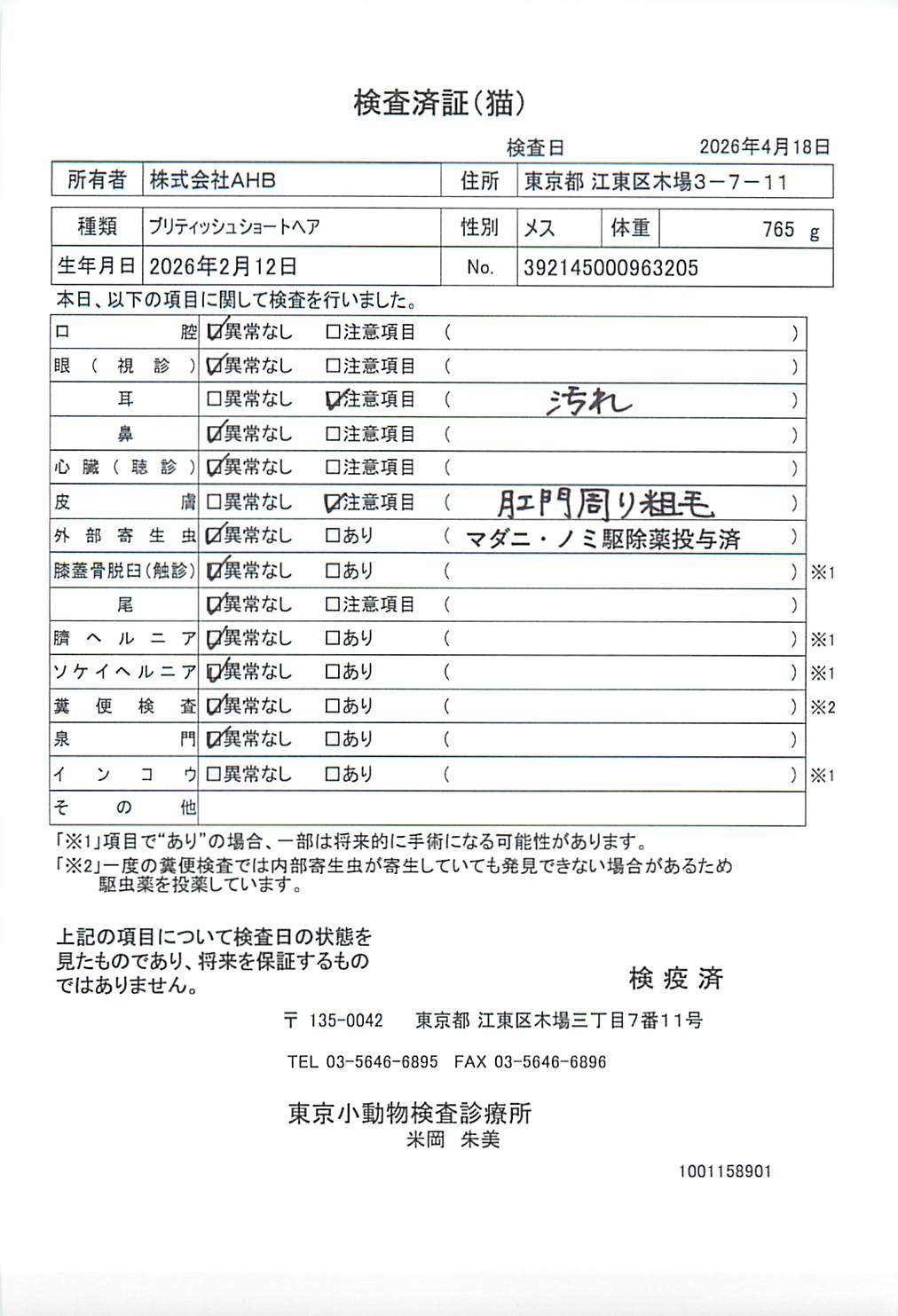 ブリティッシュショートヘア