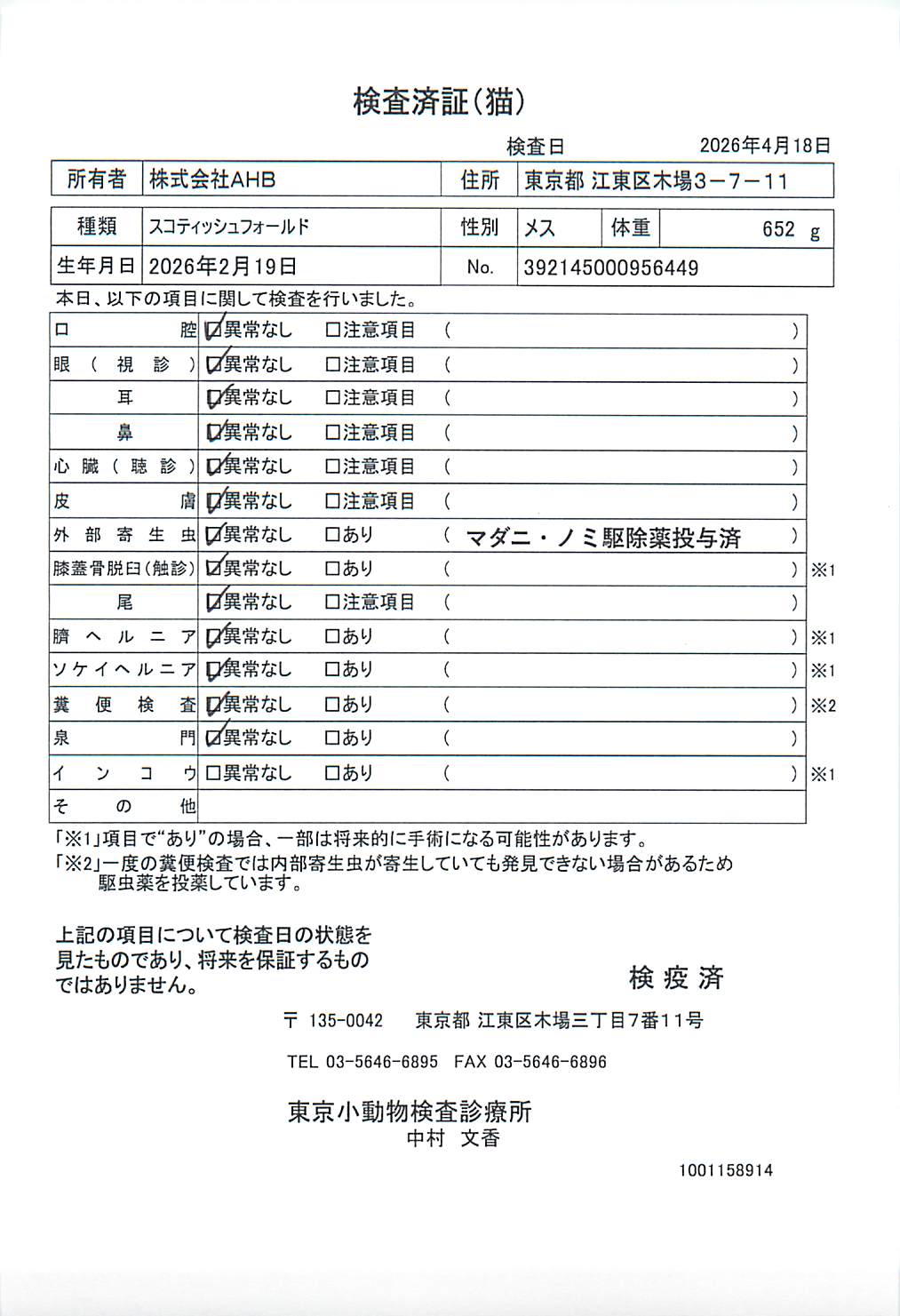 スコティッシュフォールド