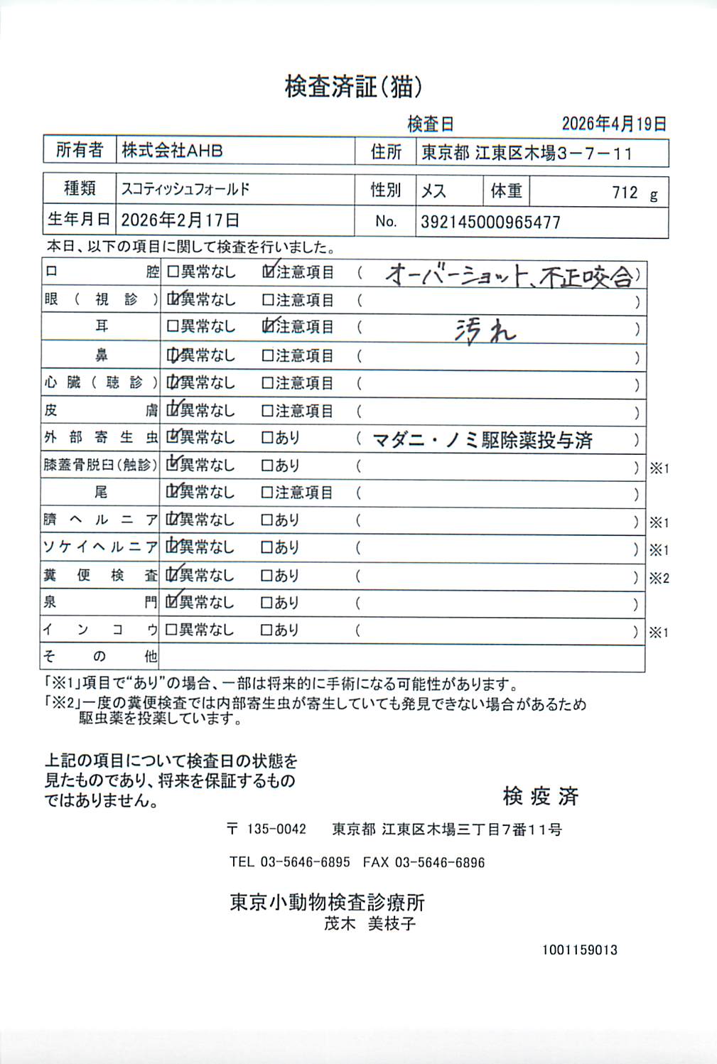 スコティッシュフォールド