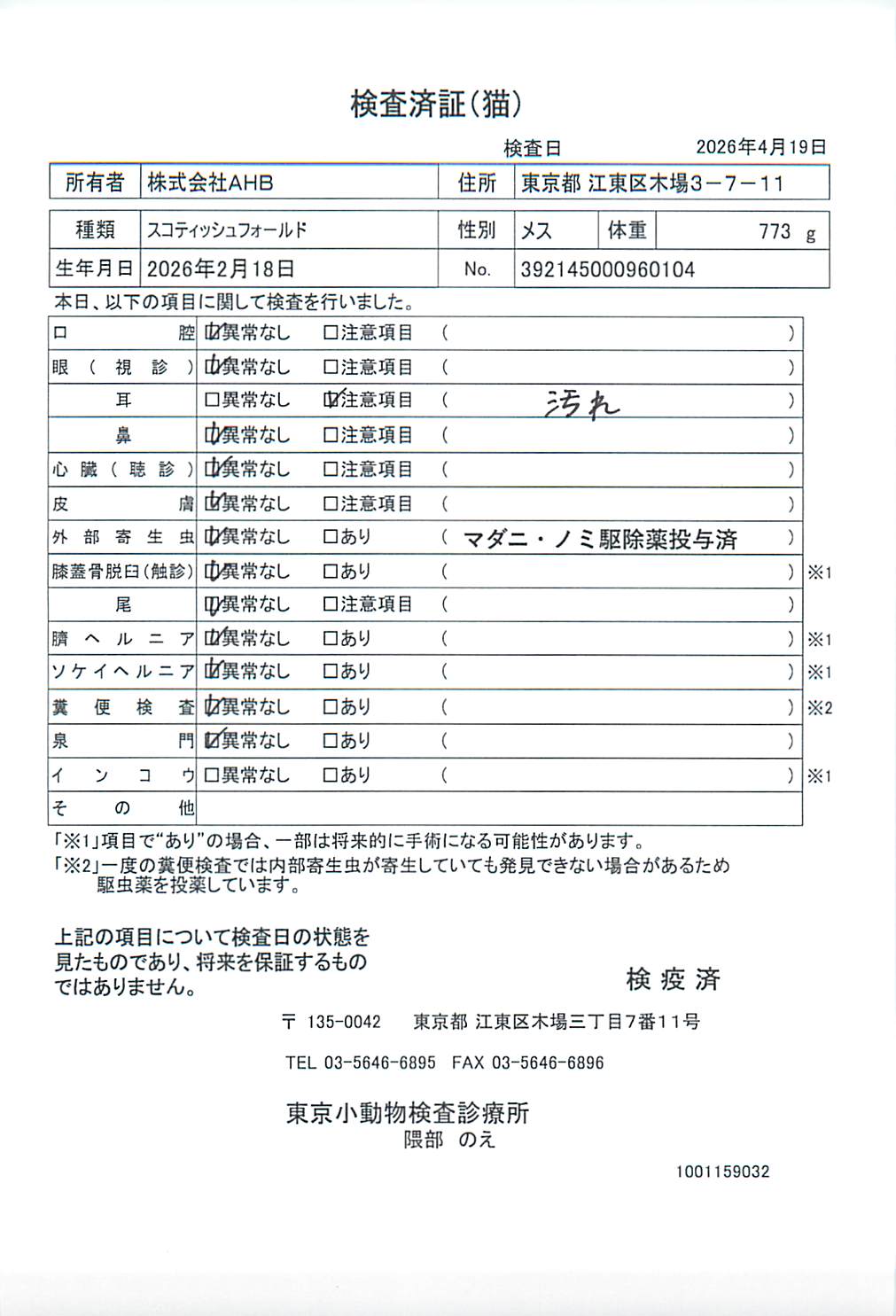 スコティッシュフォールド