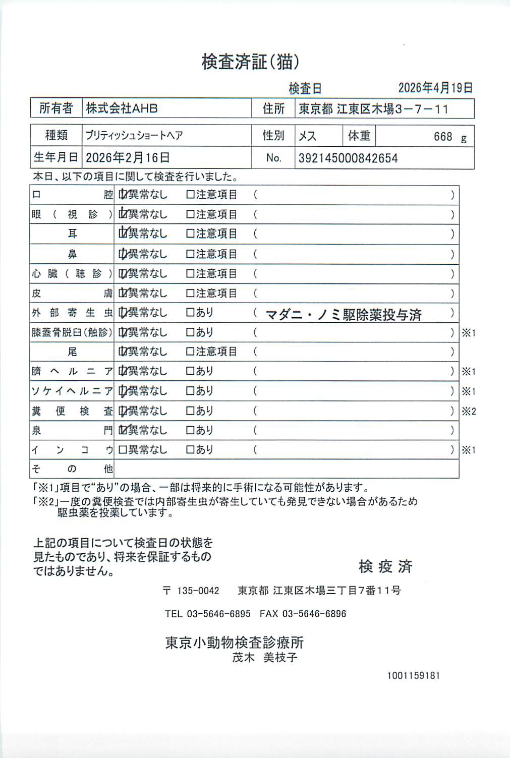 ブリティッシュショートヘア