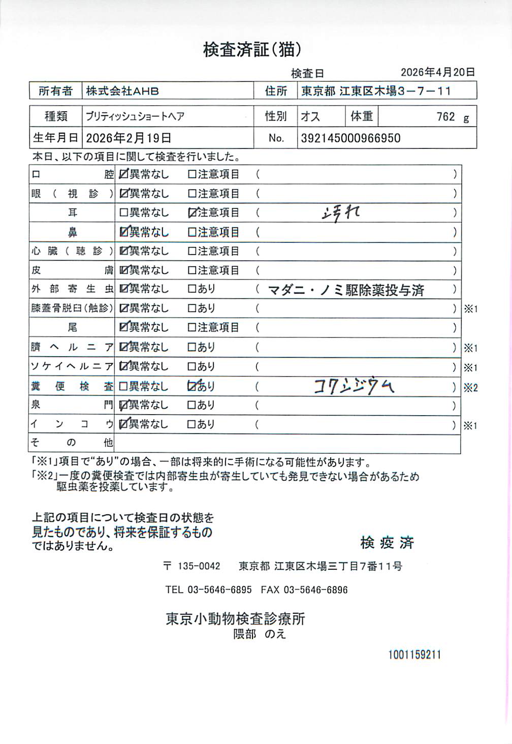 ブリティッシュショートヘア