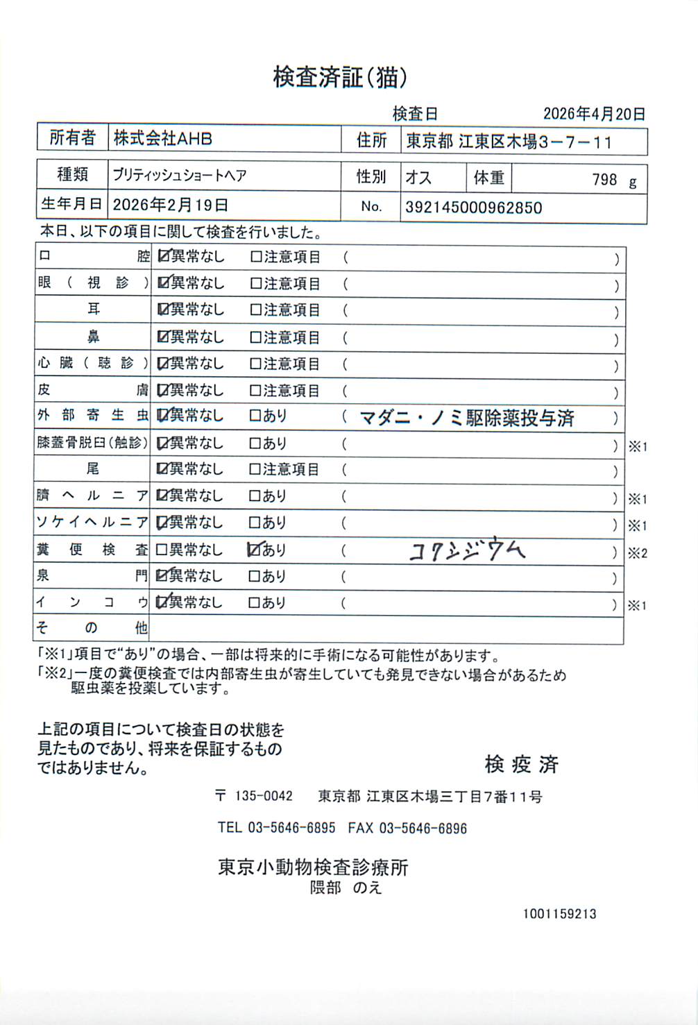 ブリティッシュショートヘア