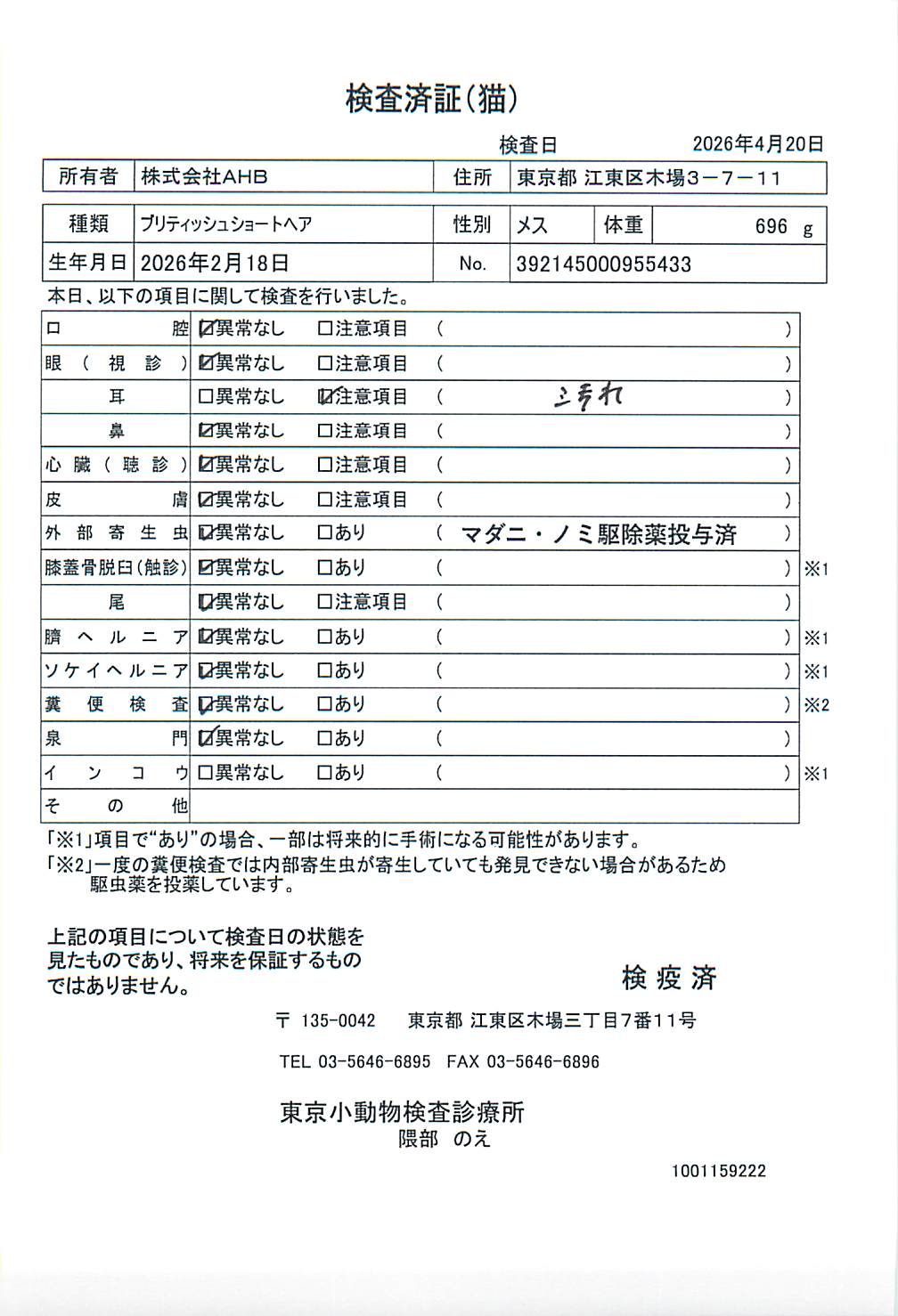 ブリティッシュショートヘア