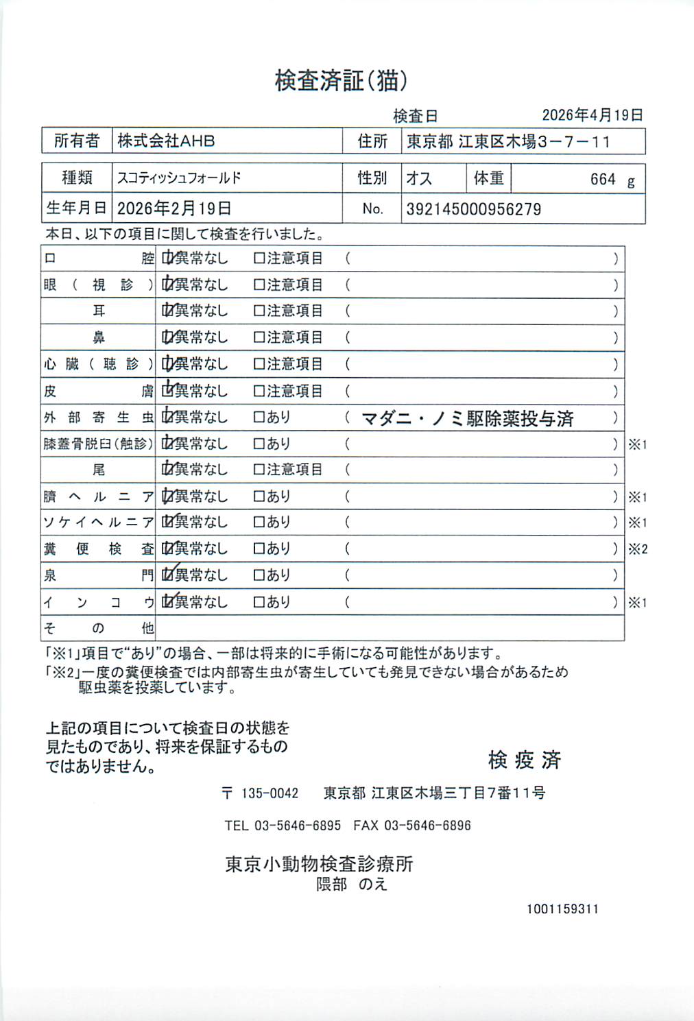 スコティッシュフォールド