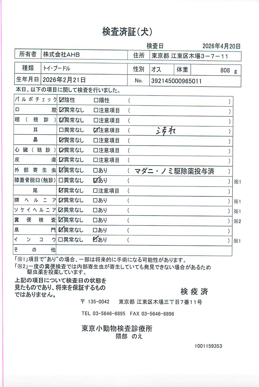 トイ・プードル