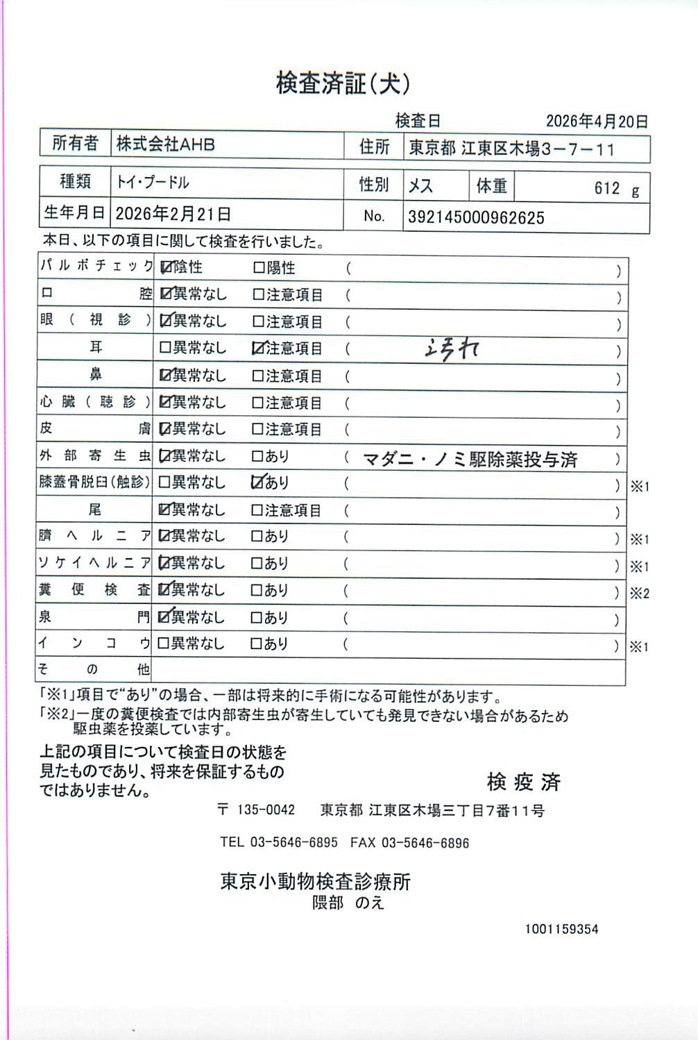 トイ・プードル