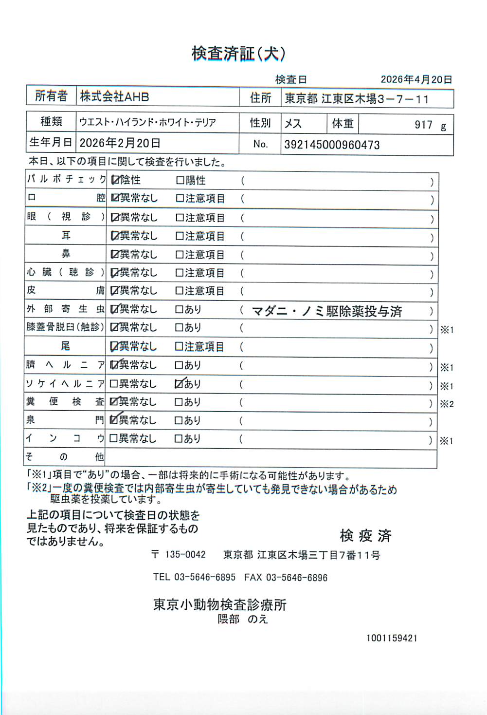 ウエスト・ハイランド・ホワイト・テリア