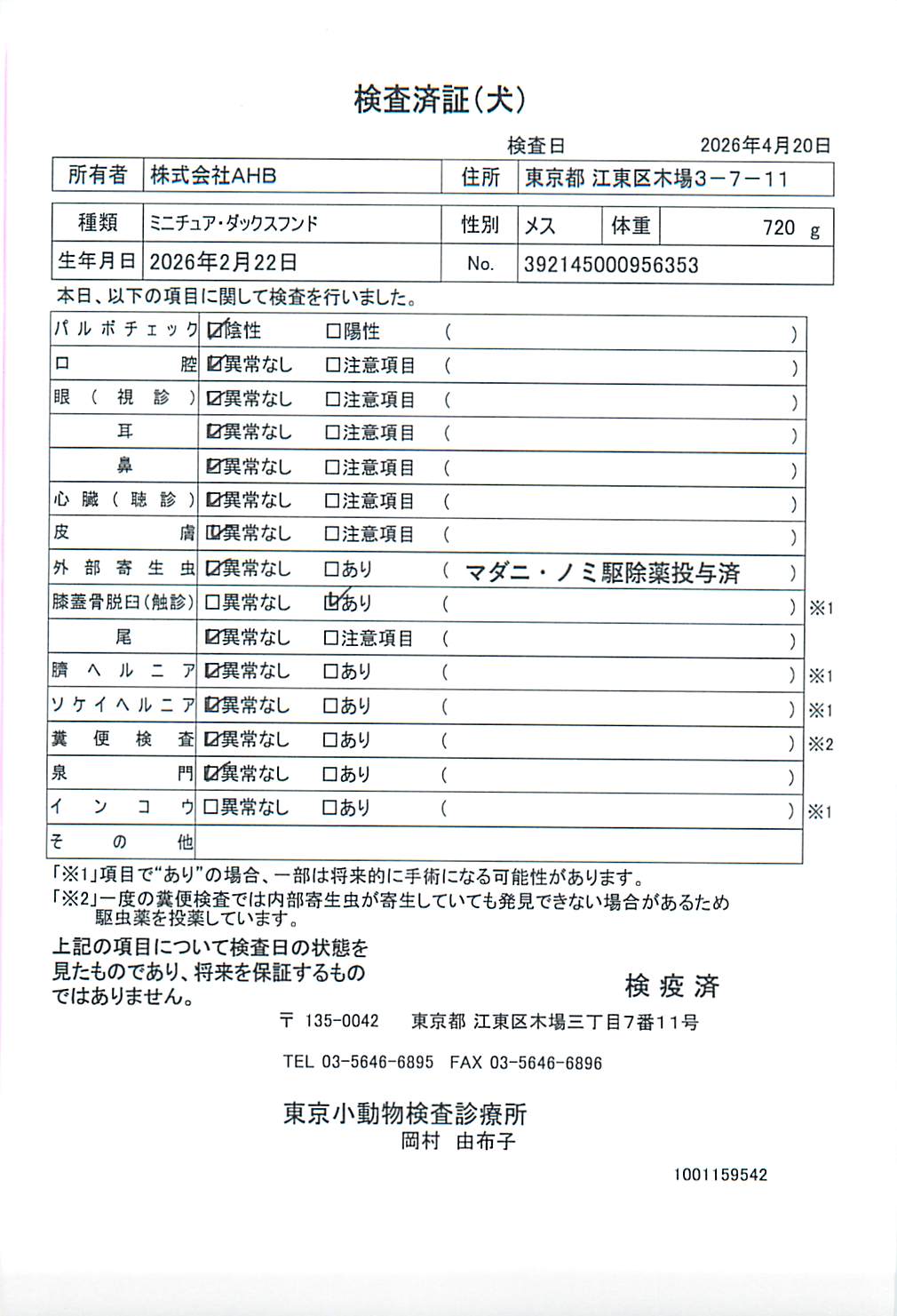 ミニチュア・ダックスフンド