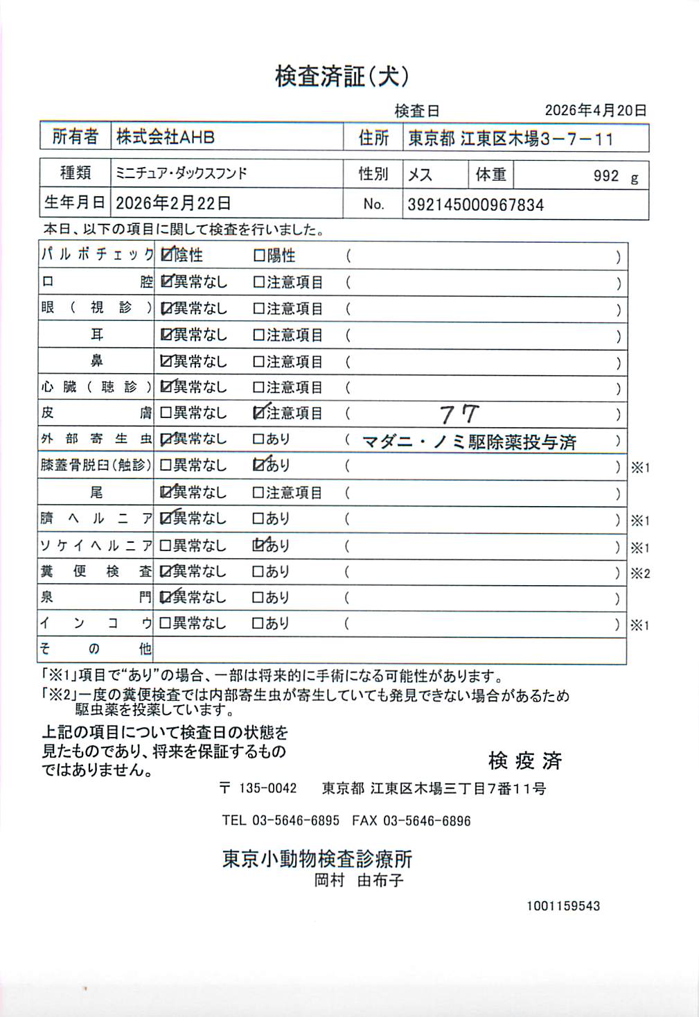 ミニチュア・ダックスフンド