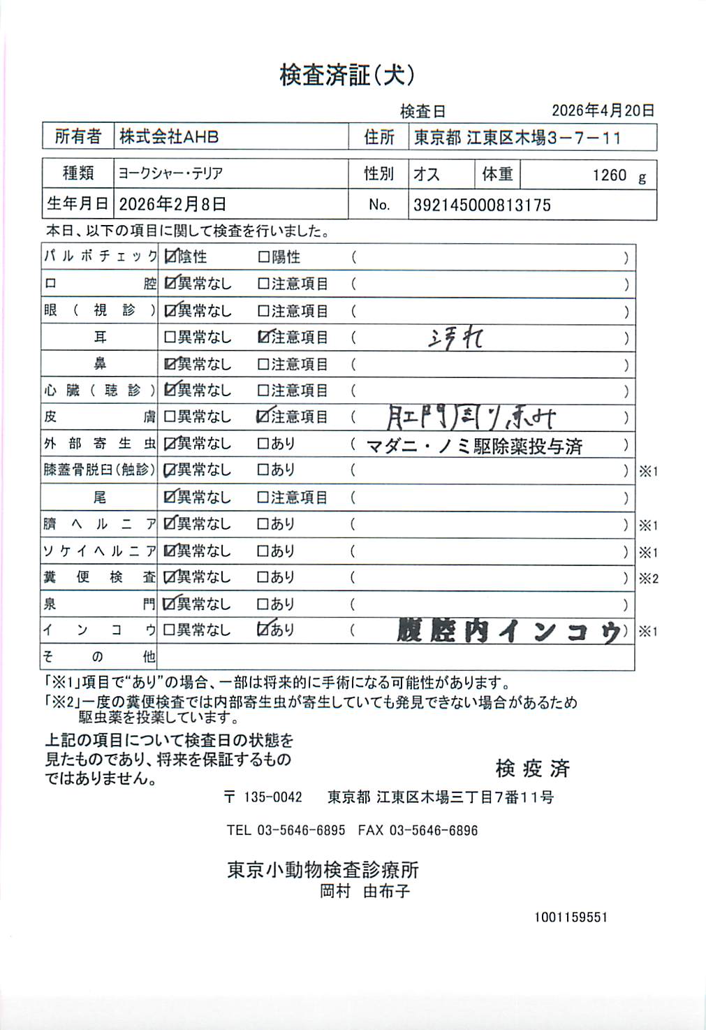 ヨークシャー・テリア