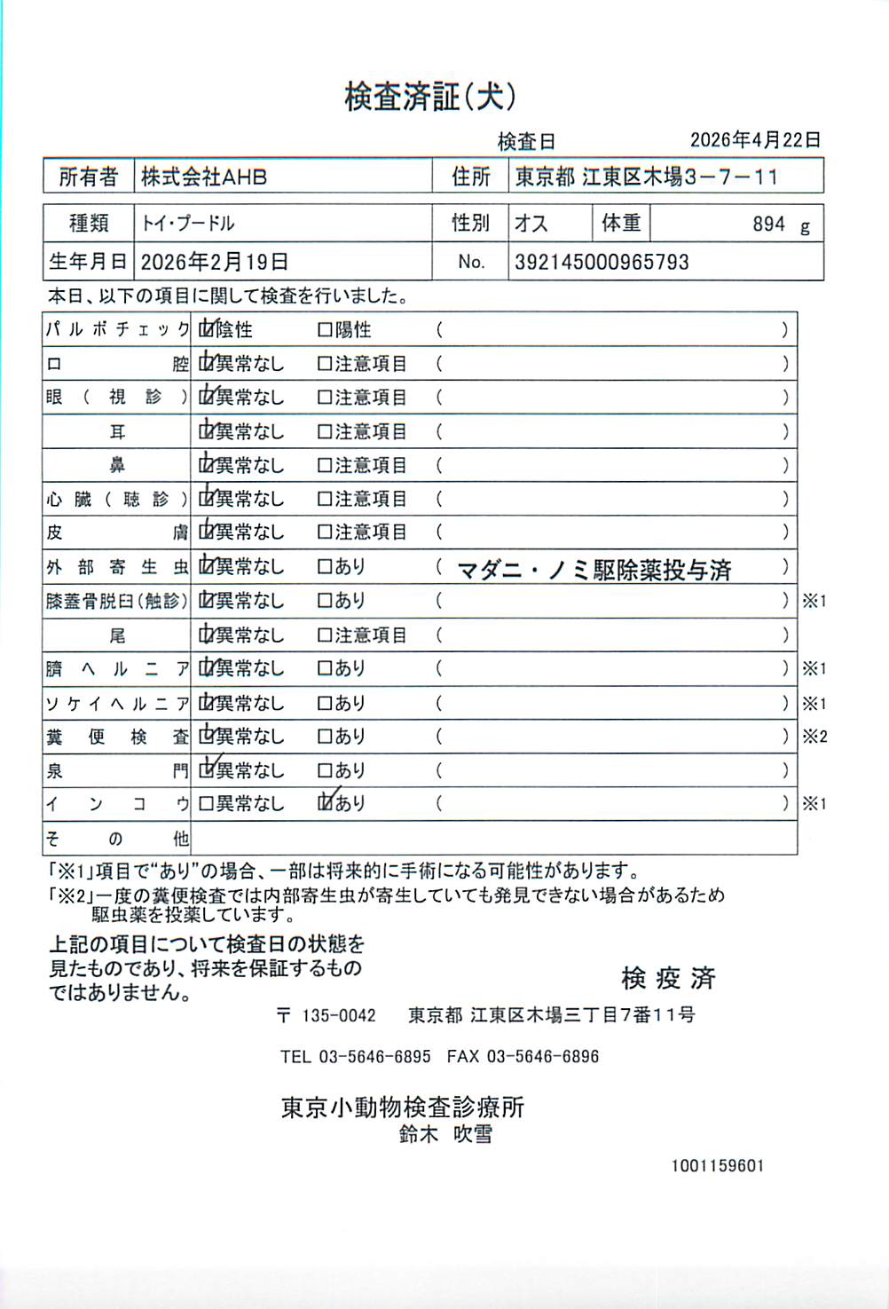 トイ・プードル