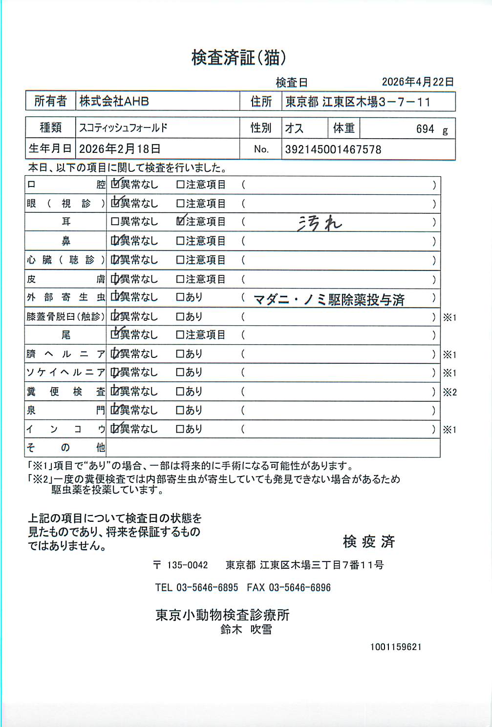 スコティッシュフォールド