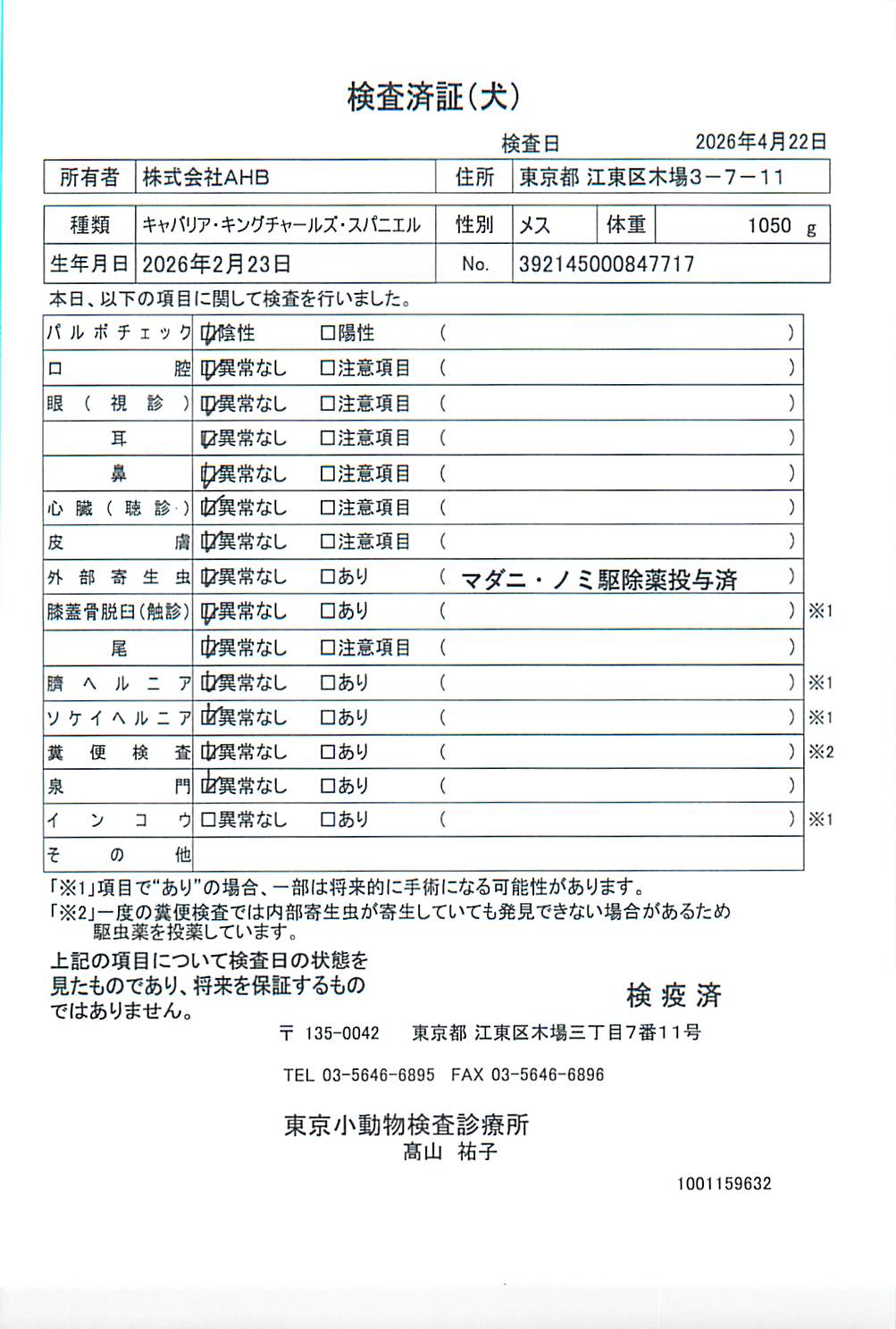 キャバリア・キングチャールズ・スパニエル