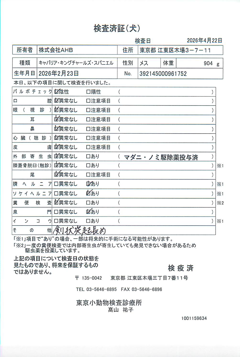 キャバリア・キングチャールズ・スパニエル