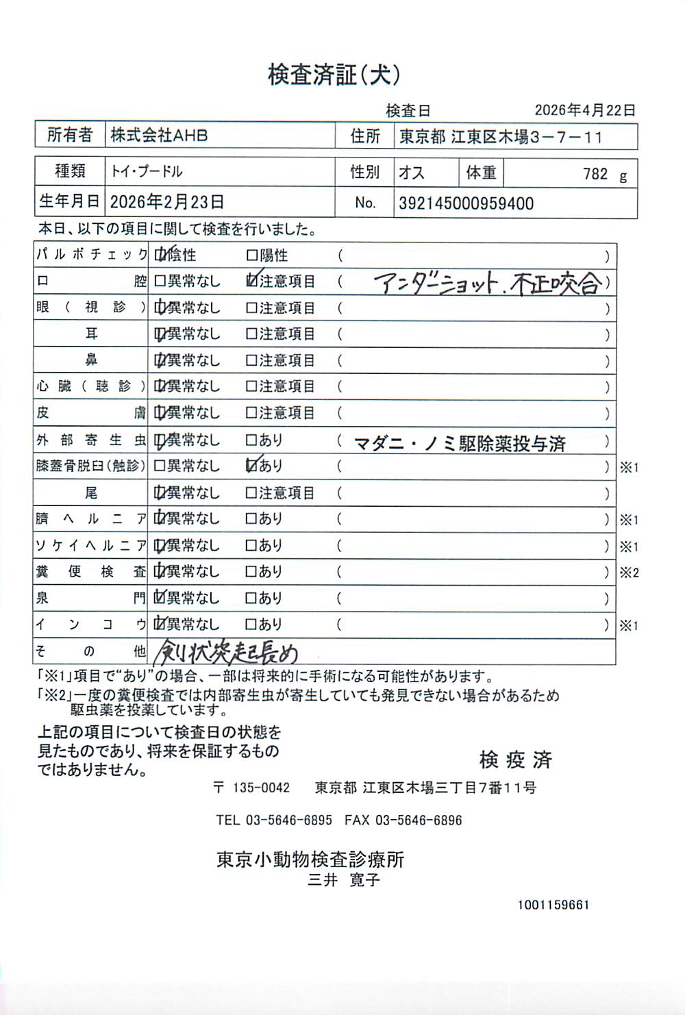 トイ・プードル