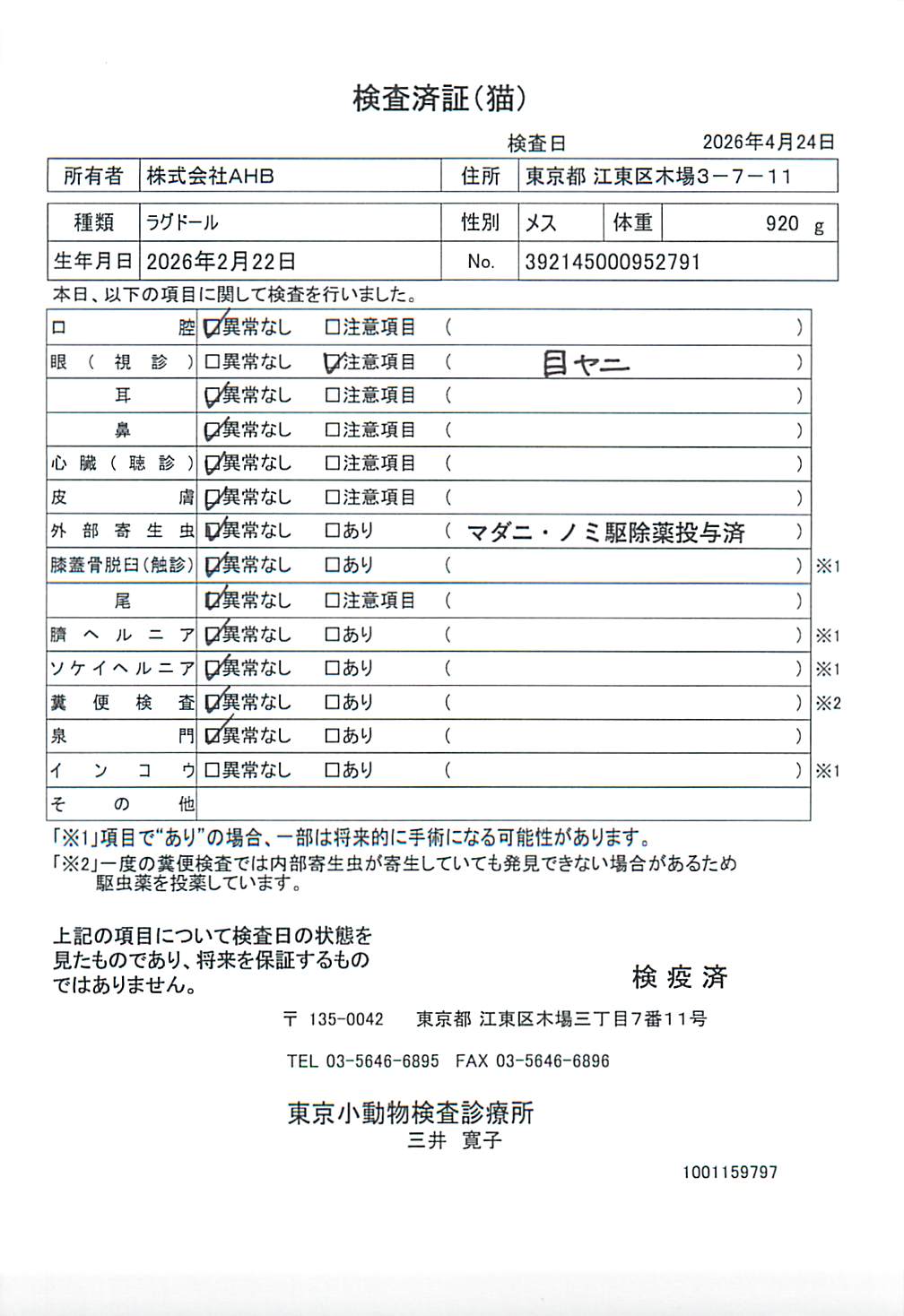 ラグドール