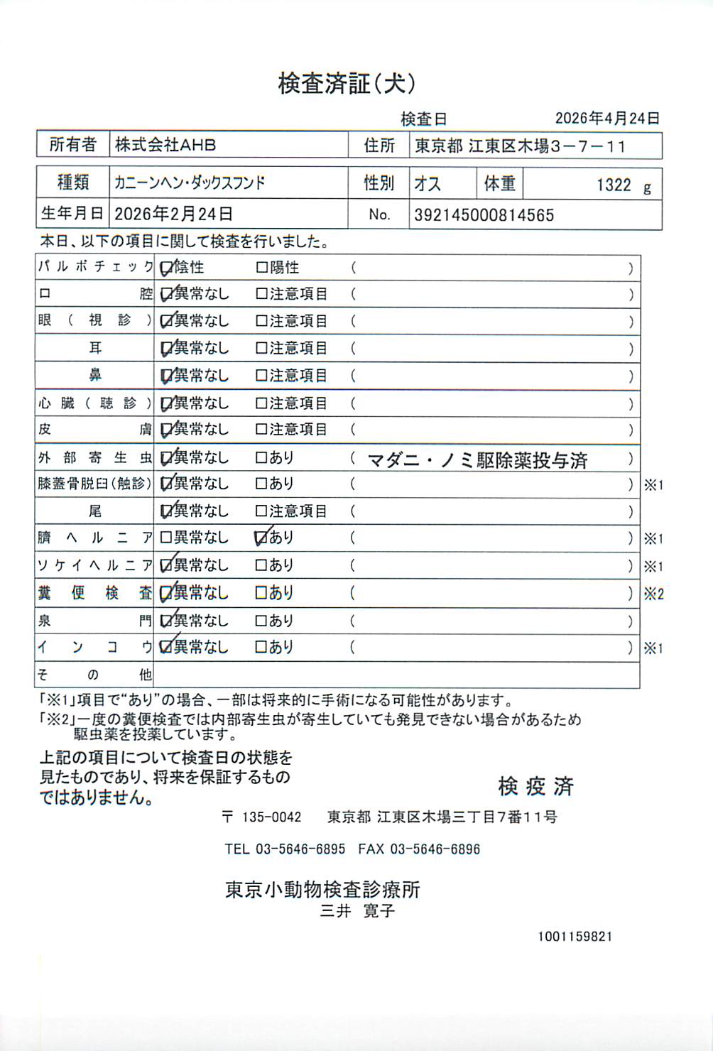 カニーンヘン・ダックスフンド