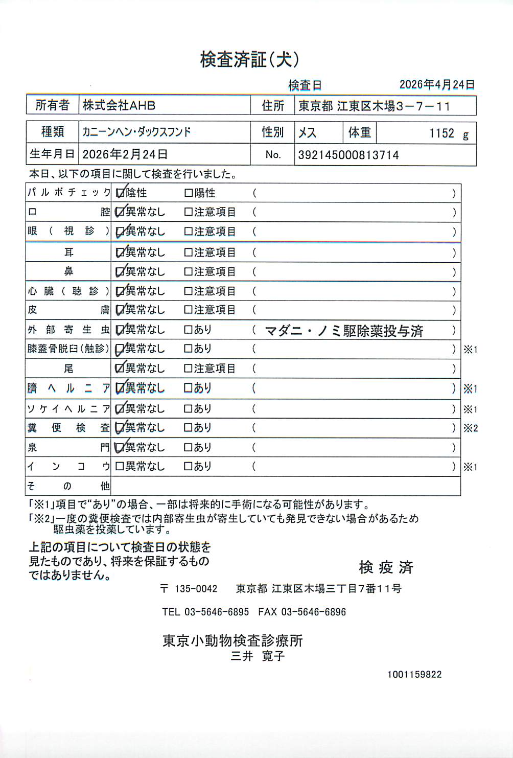 カニーンヘン・ダックスフンド