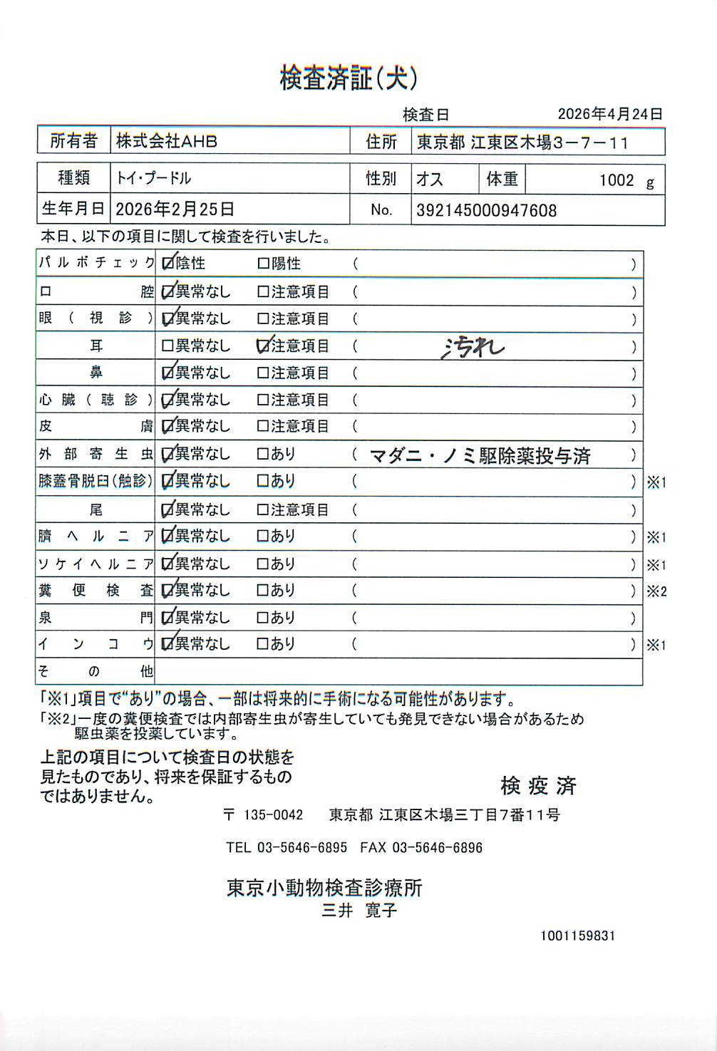 トイ・プードル