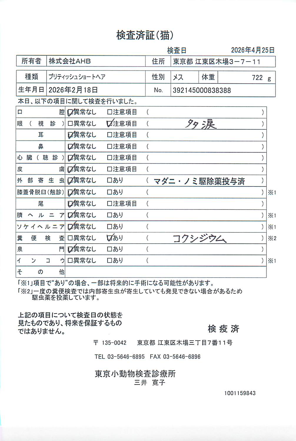 ブリティッシュショートヘア